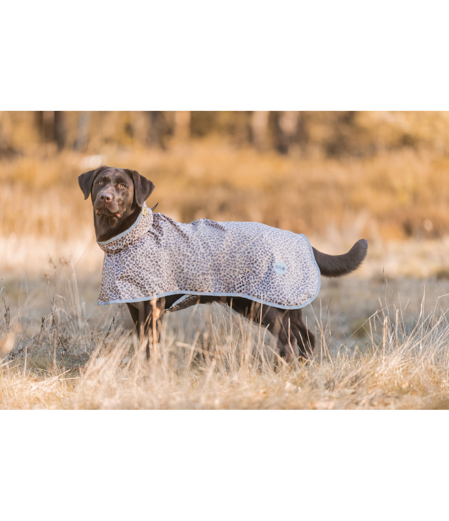 Hunde-Regenmantel Thousand Islands, 0 g