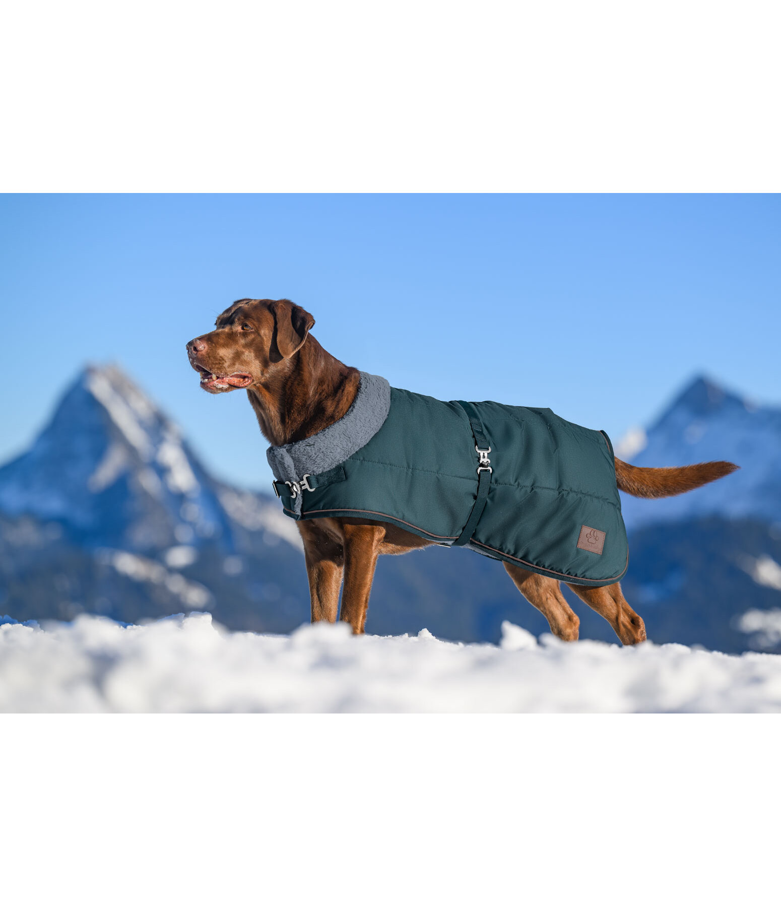 Winter-Hundemantel Gizmo mit Teddyfell-Innenfutter, 200 g