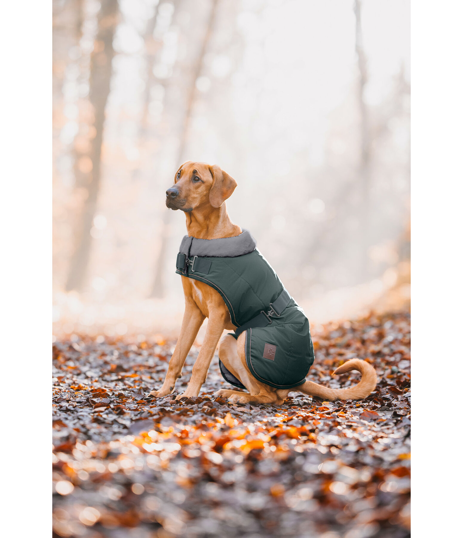 Winter-Hundemantel Gizmo mit Teddyfell-Innenfutter, 200 g