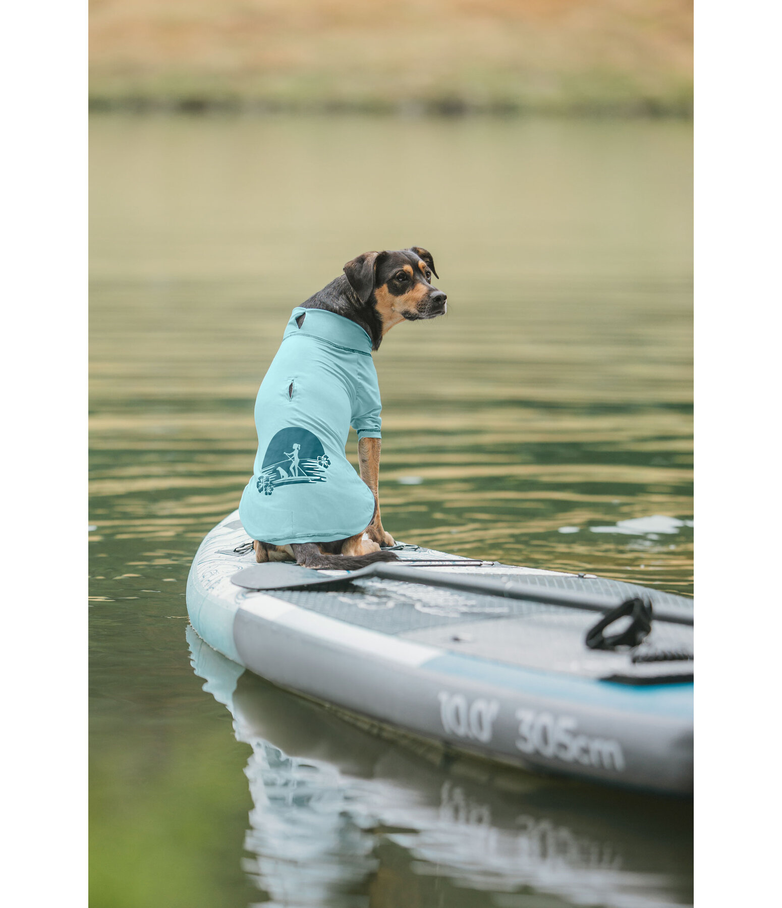 Hunde-T-Shirt Sunny, UPF 50+