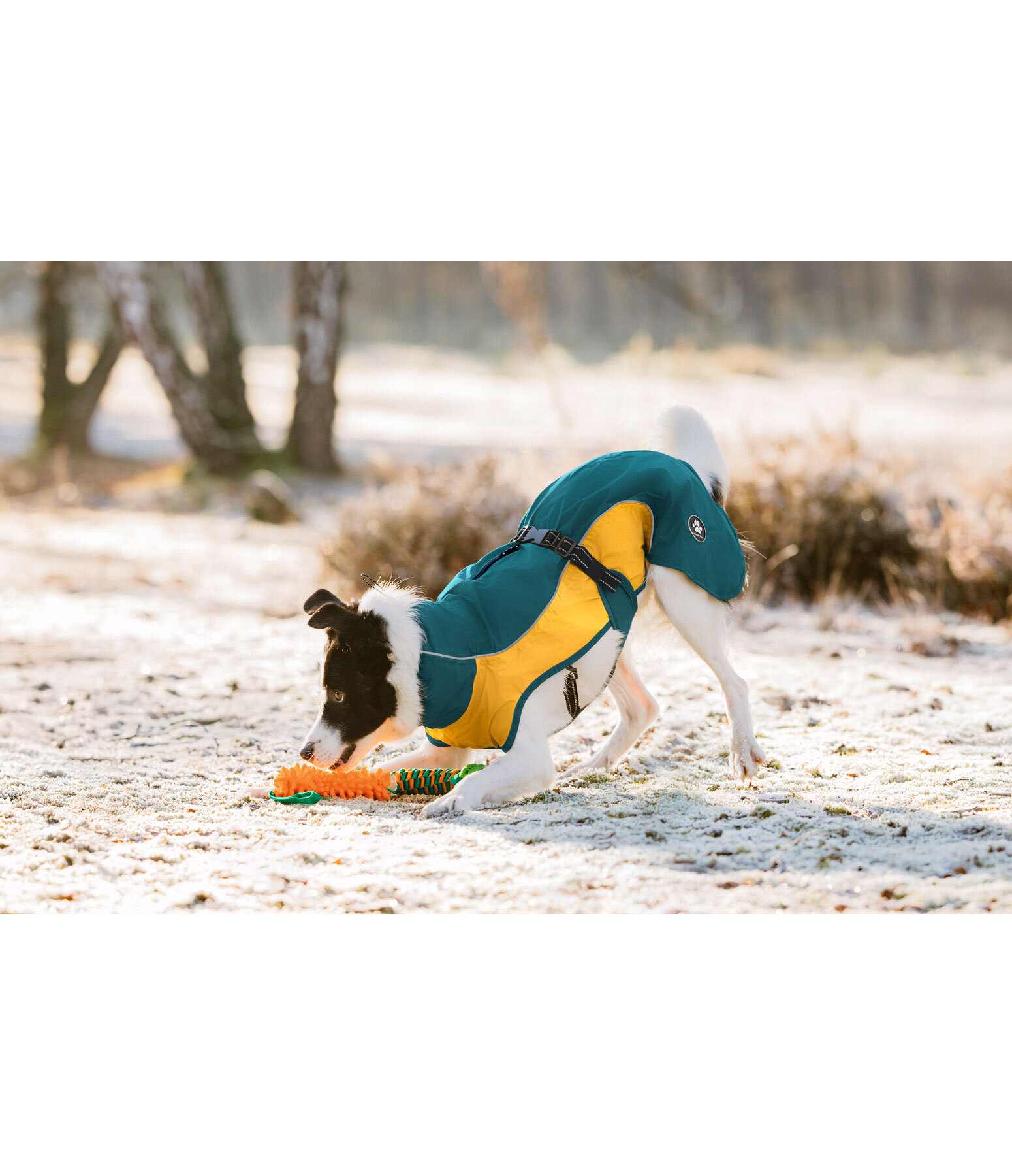 Lightweight Hunde-Regenmantel  Alma, 0 g