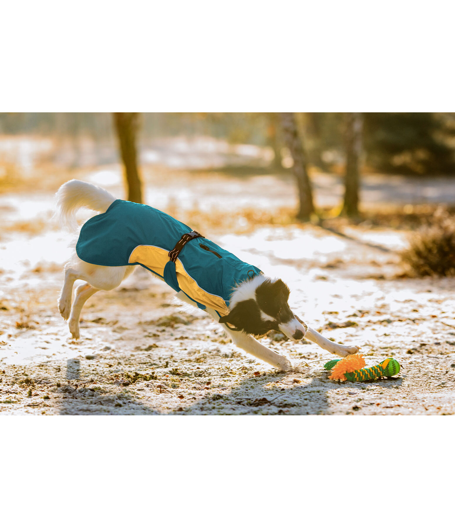Lightweight Hunde-Regenmantel  Alma, 0 g