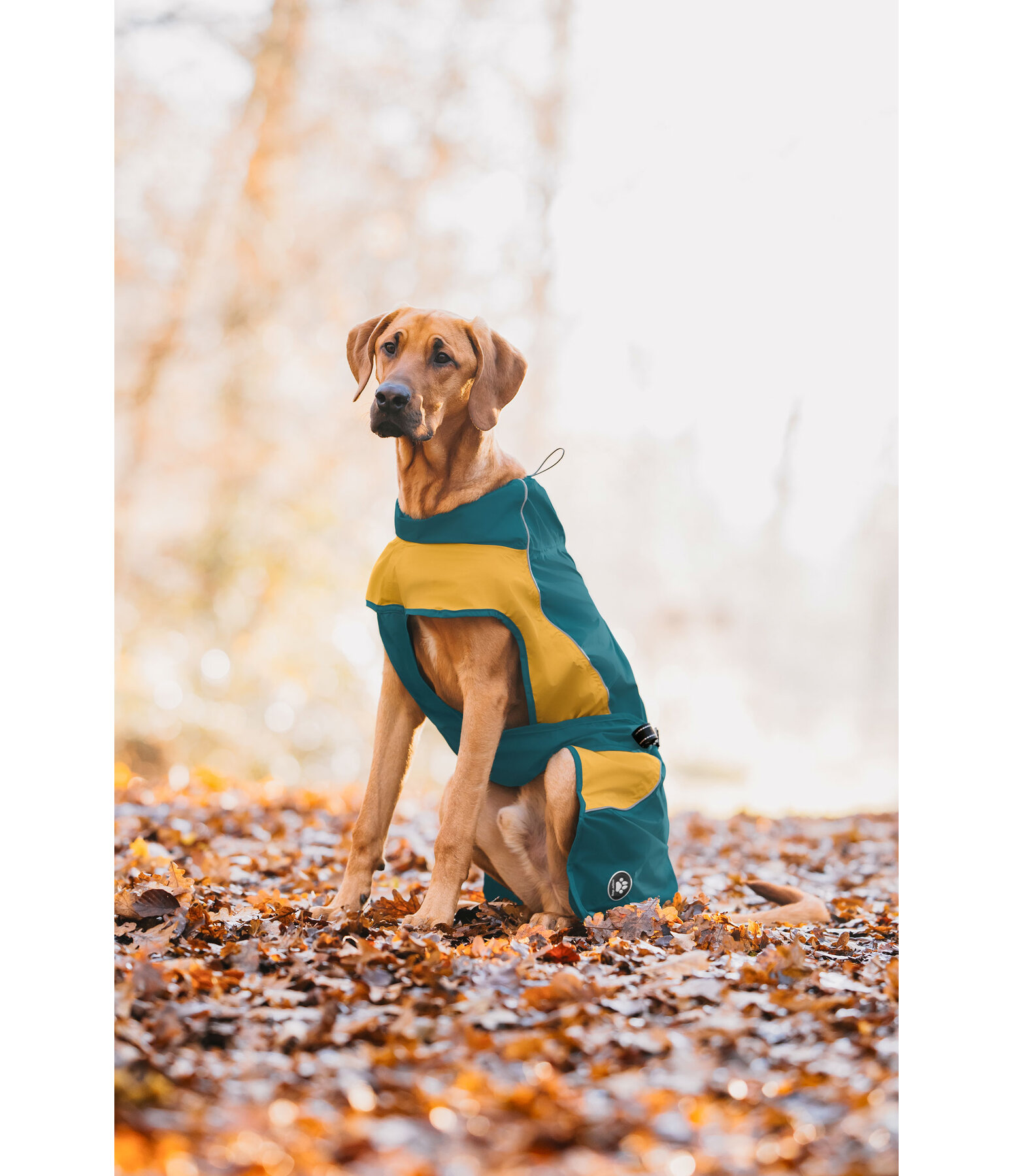 Lightweight Hunde-Regenmantel  Alma, 0 g