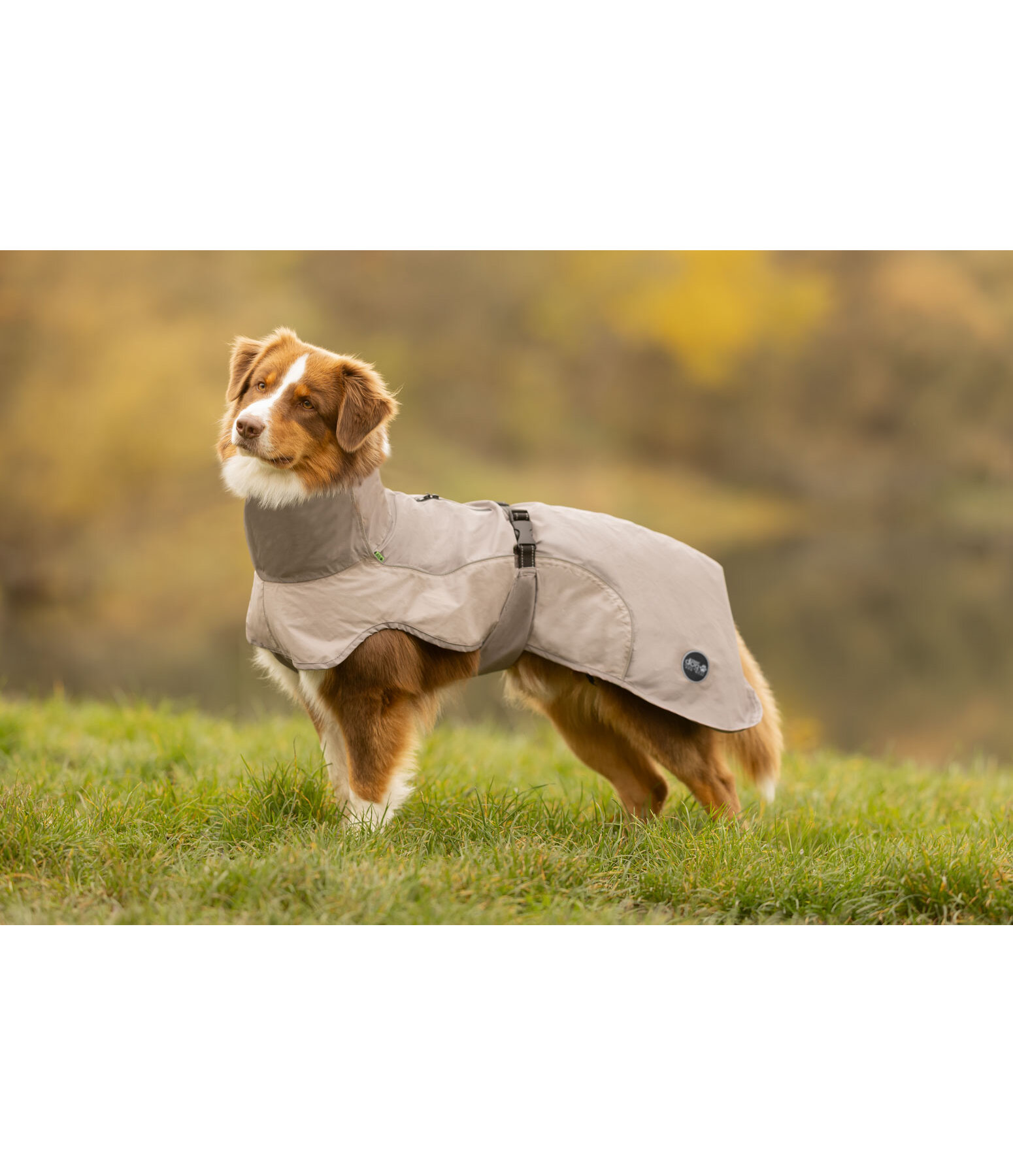 Lightweight Hunde-Regenmantel  Alma, 0 g
