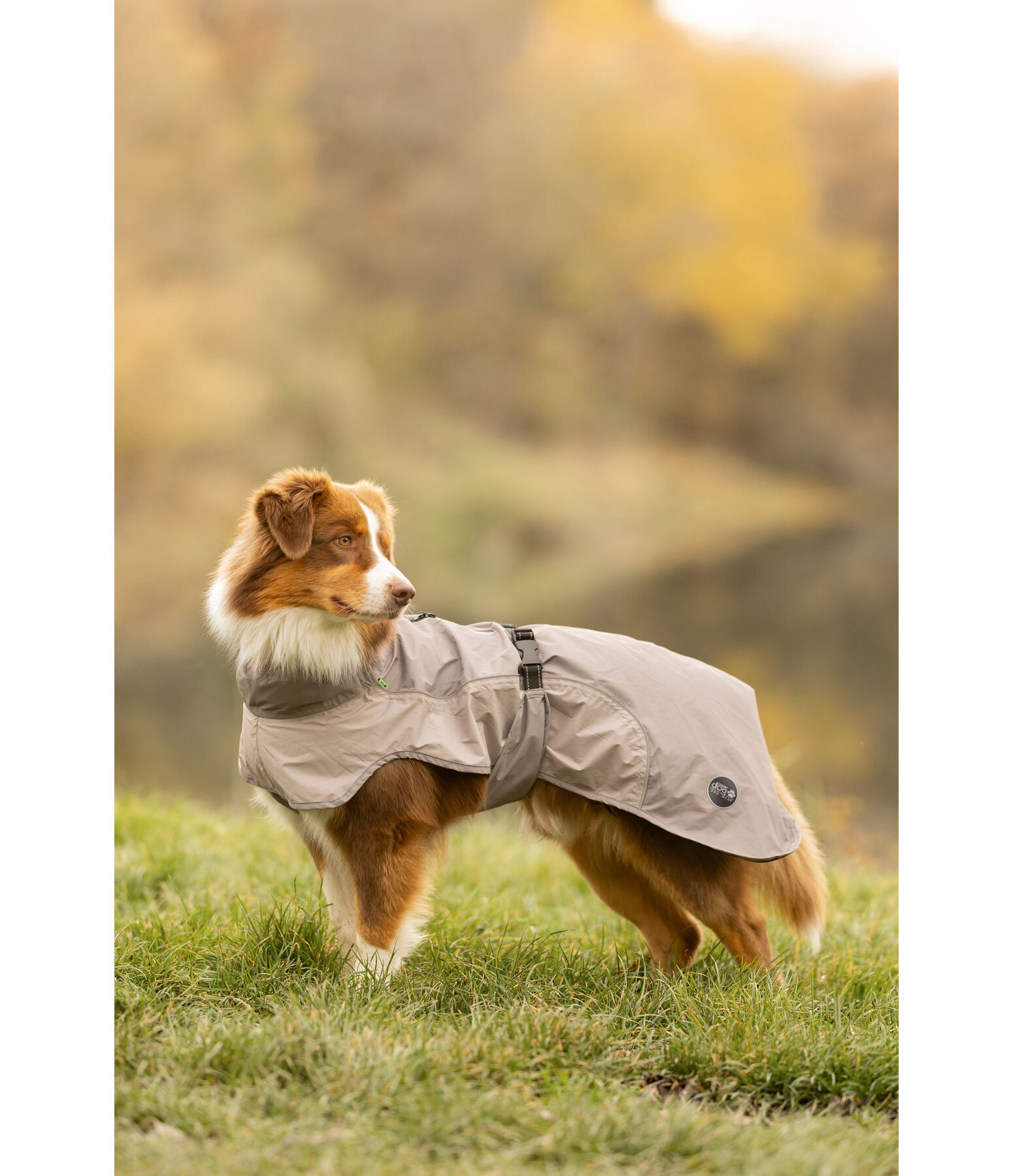 Lightweight Hunde-Regenmantel  Alma, 0 g