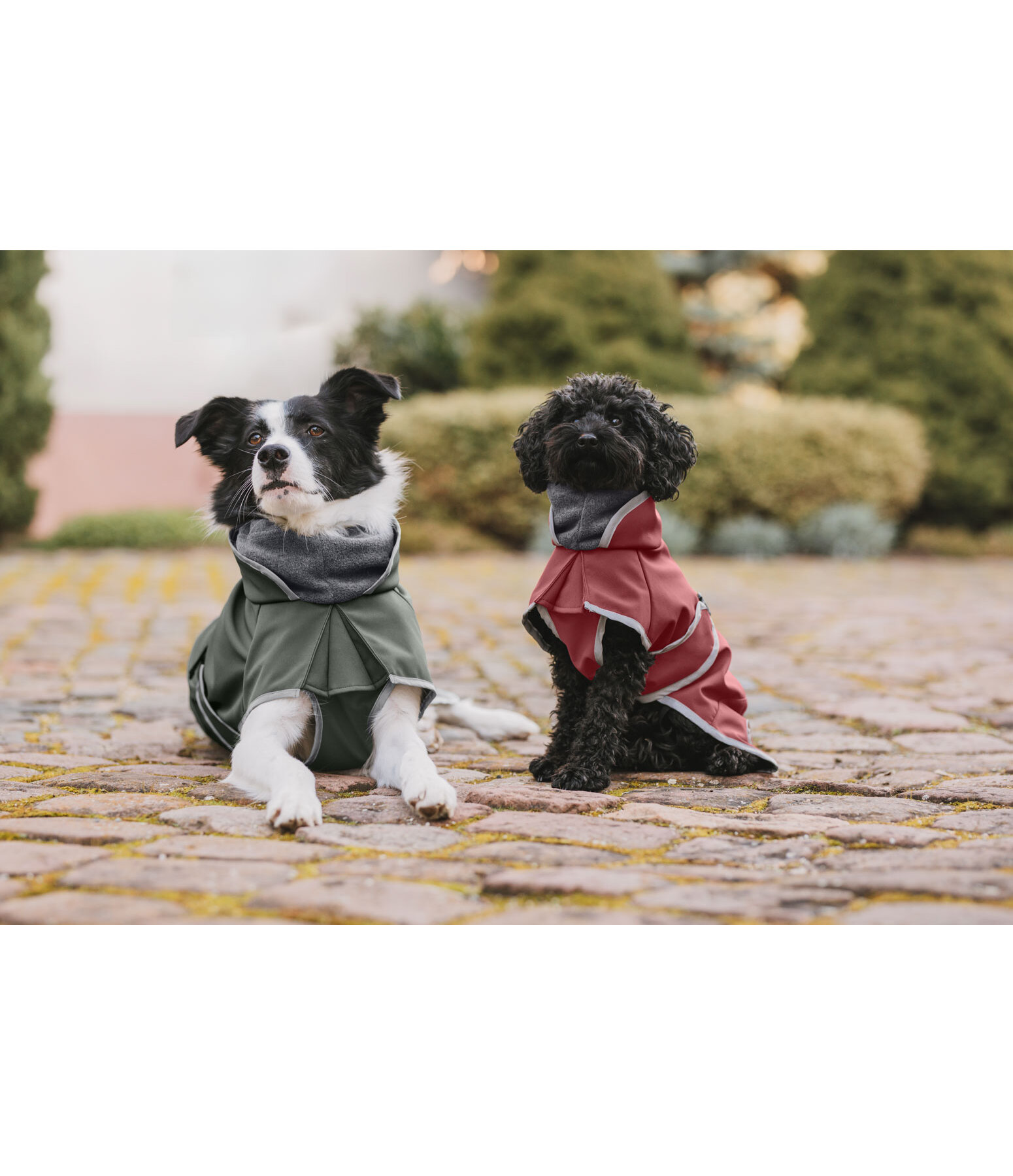 Softshell-Hundemantel mit Fleecekragen Frida