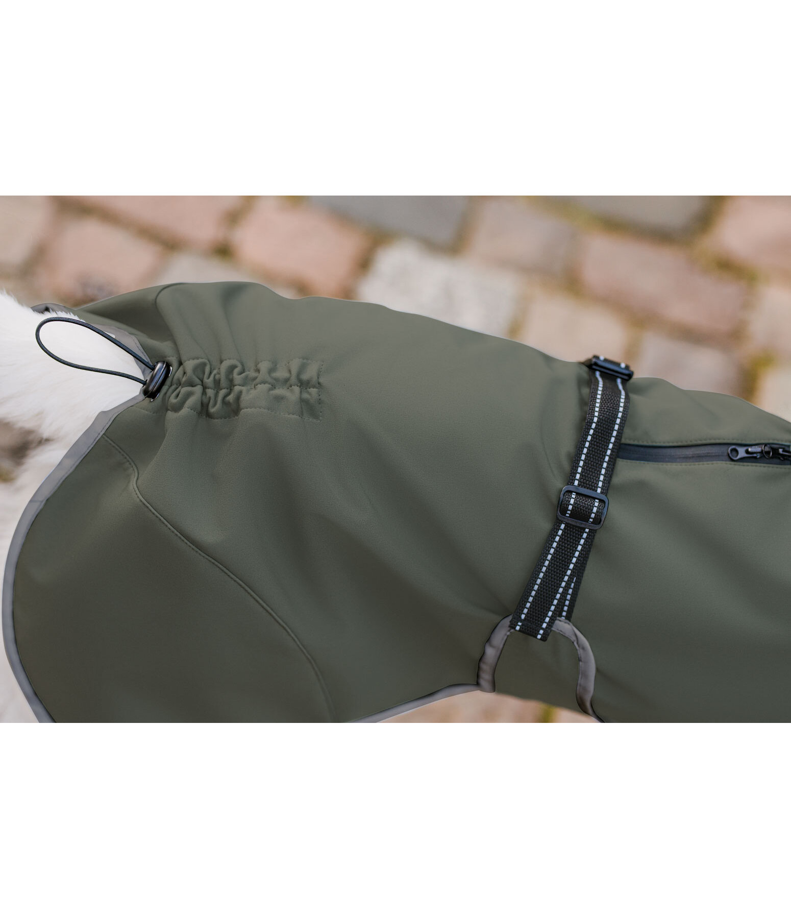 Softshell-Hundemantel mit Fleecekragen Frida
