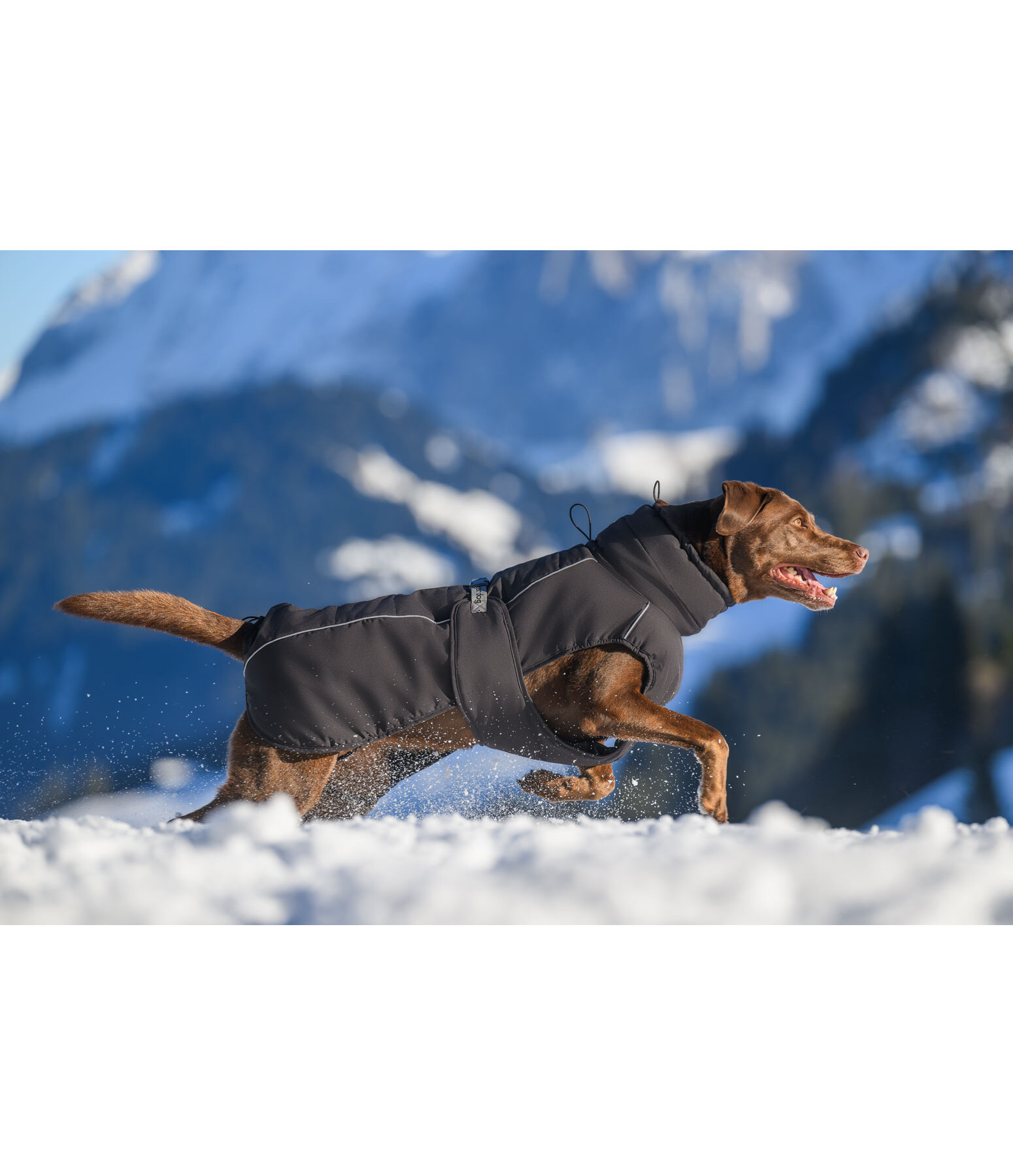 Winter-Hundemantel Marlon, 200-300 g