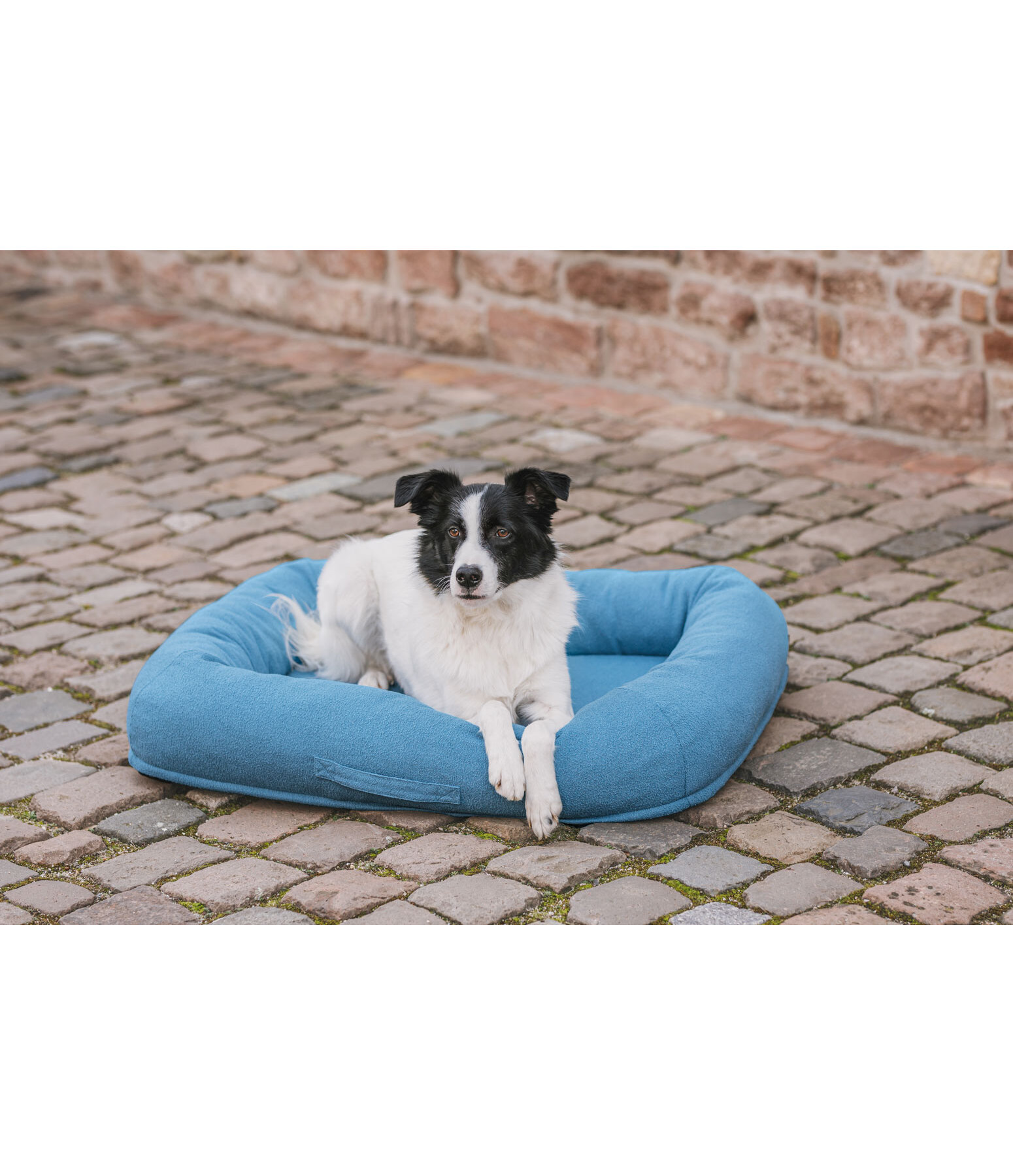 Hundebett Terry