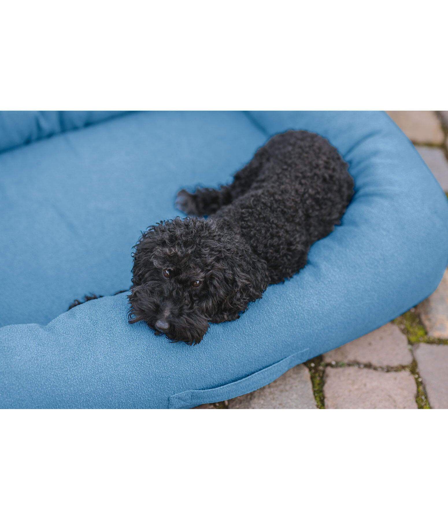 Hundebett Terry