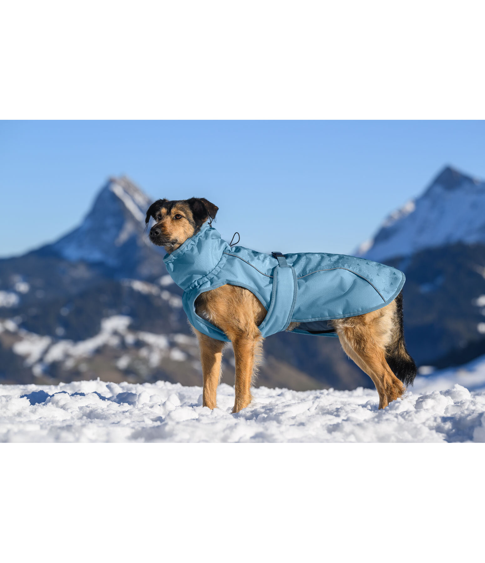 Winter-Hundemantel Wonderland, 140 g