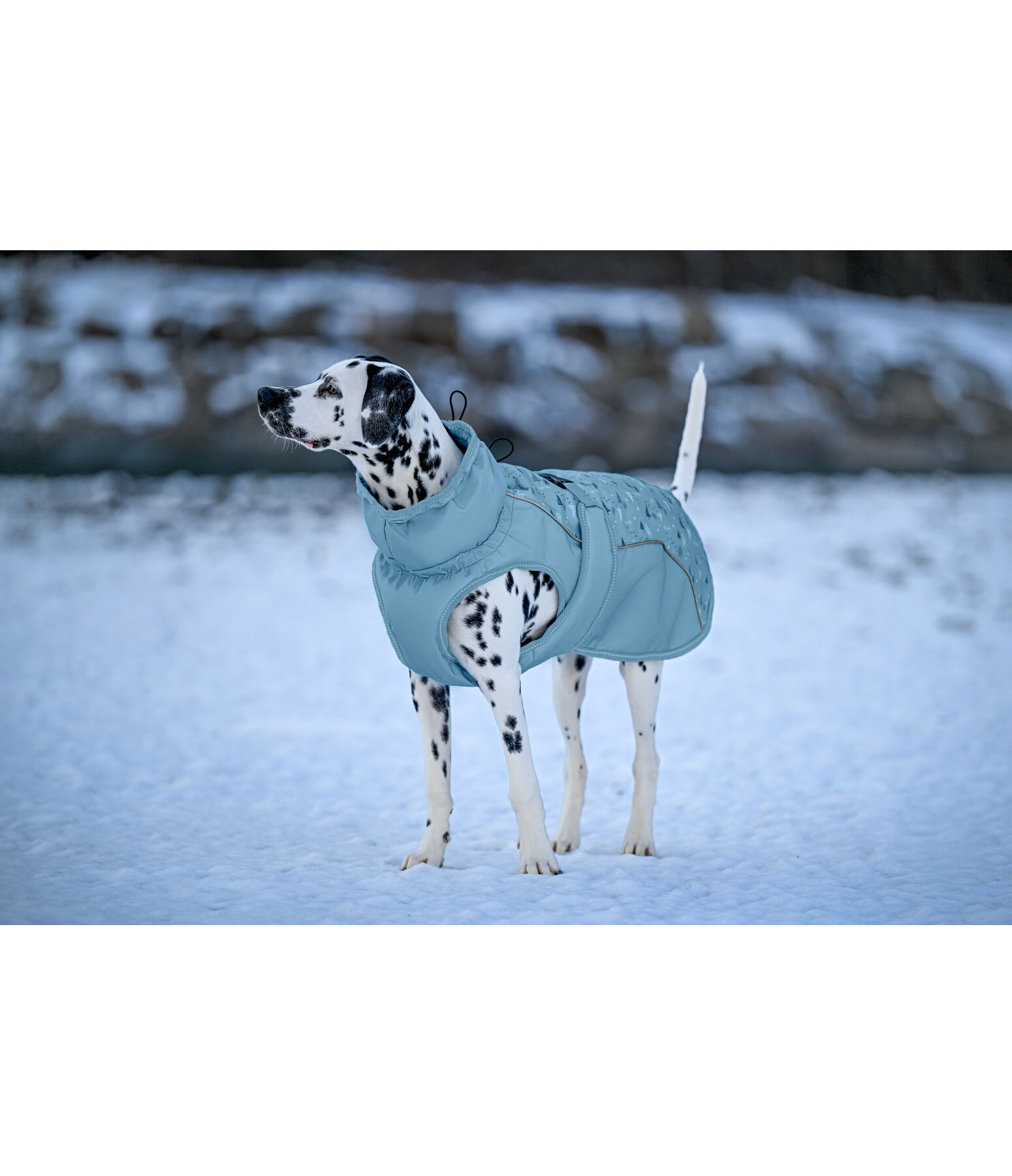 Winter-Hundemantel Wonderland, 140 g