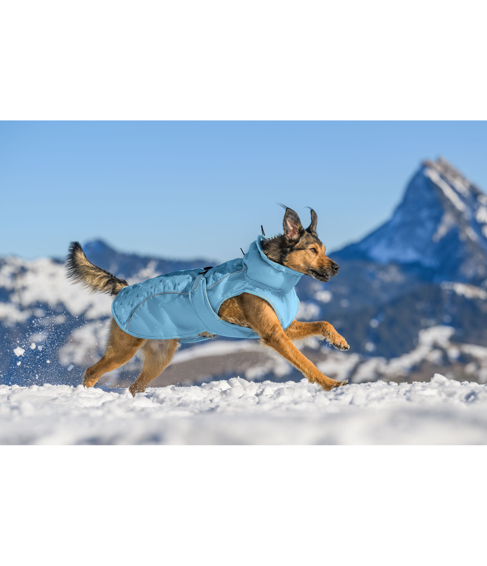 Winter-Hundemantel Wonderland, 140 g