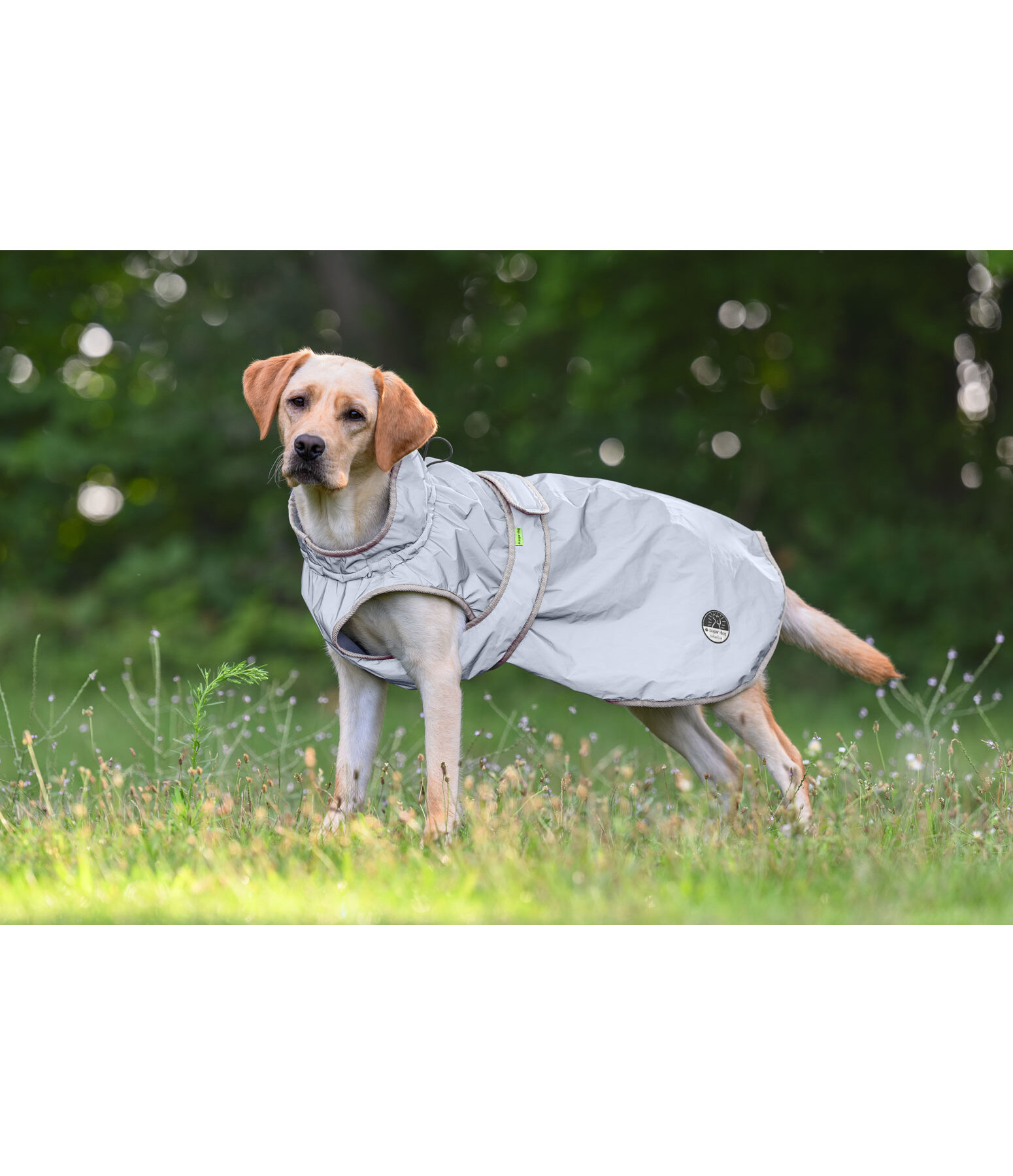 Reflex Hundemantel Stay Safe mit Fleecef�tterung