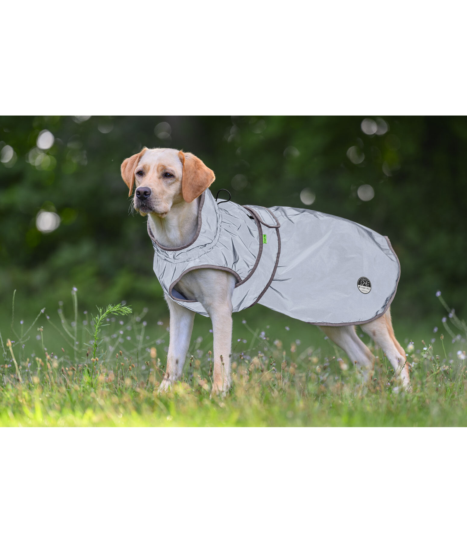 Reflex Hundemantel Stay Safe mit Fleecef�tterung