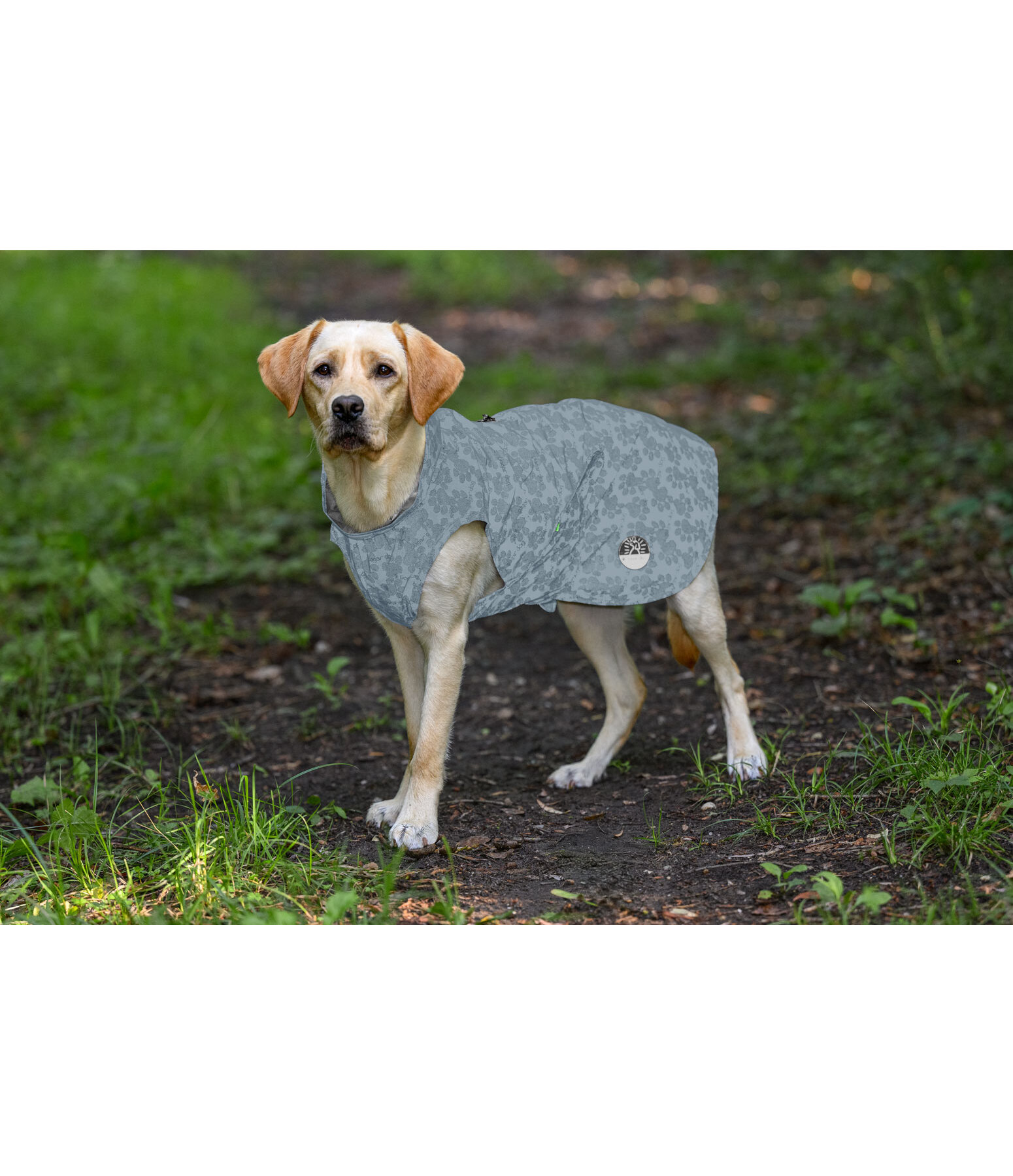 reflektierender Regenmantel To Go