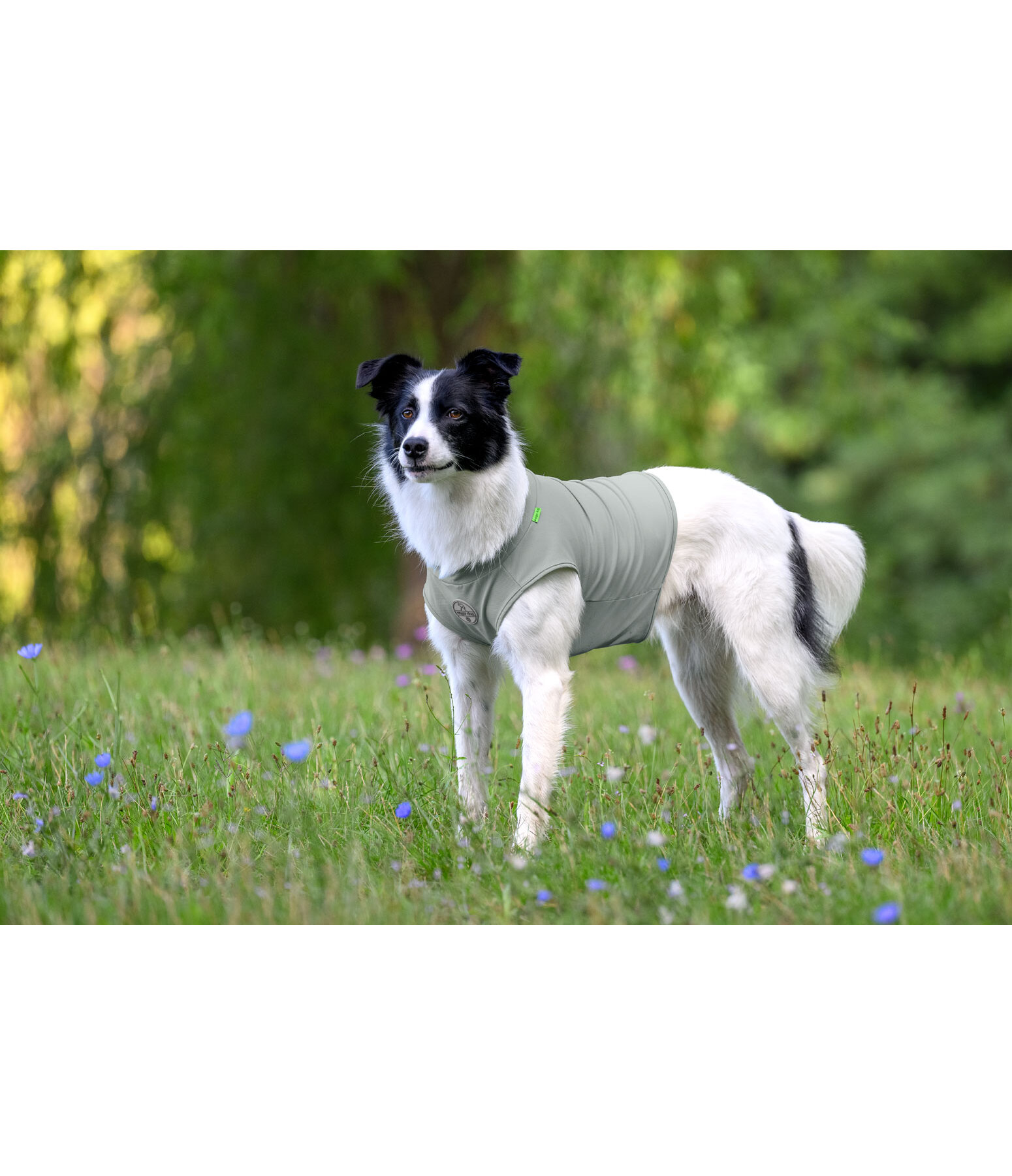 k�hlendes Shirt Frostie