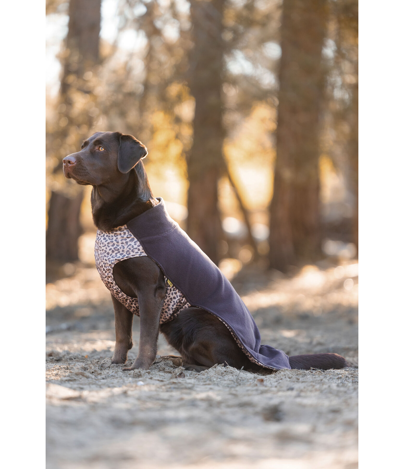 Hunde-Unterzieh- und Fleecepullover Basic