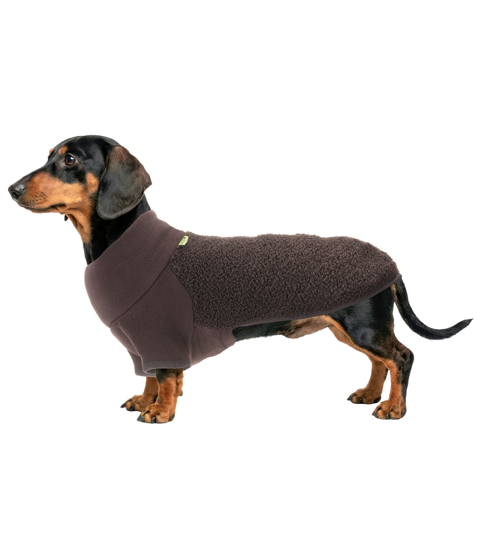 Dackel Fleecepullover Edward