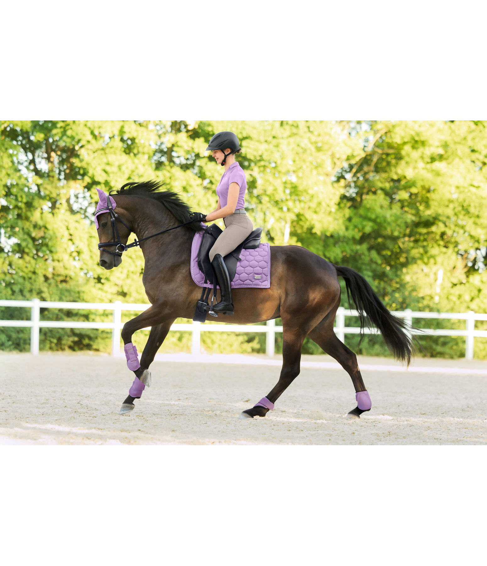 Gamaschen Sophistication