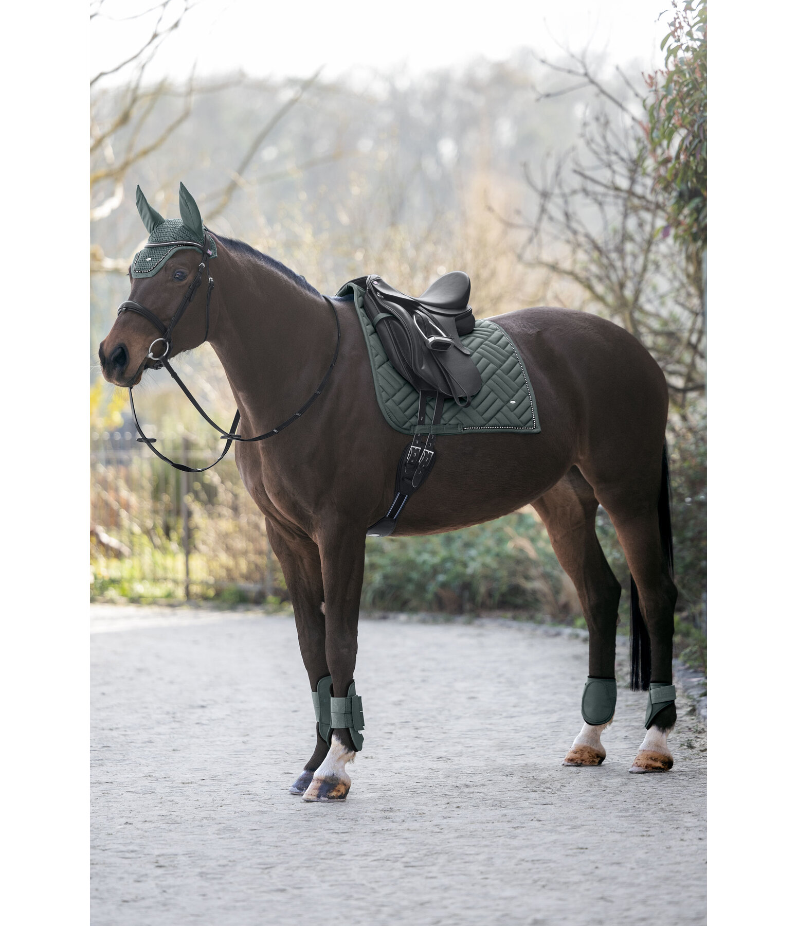 Brilliant Gamaschen