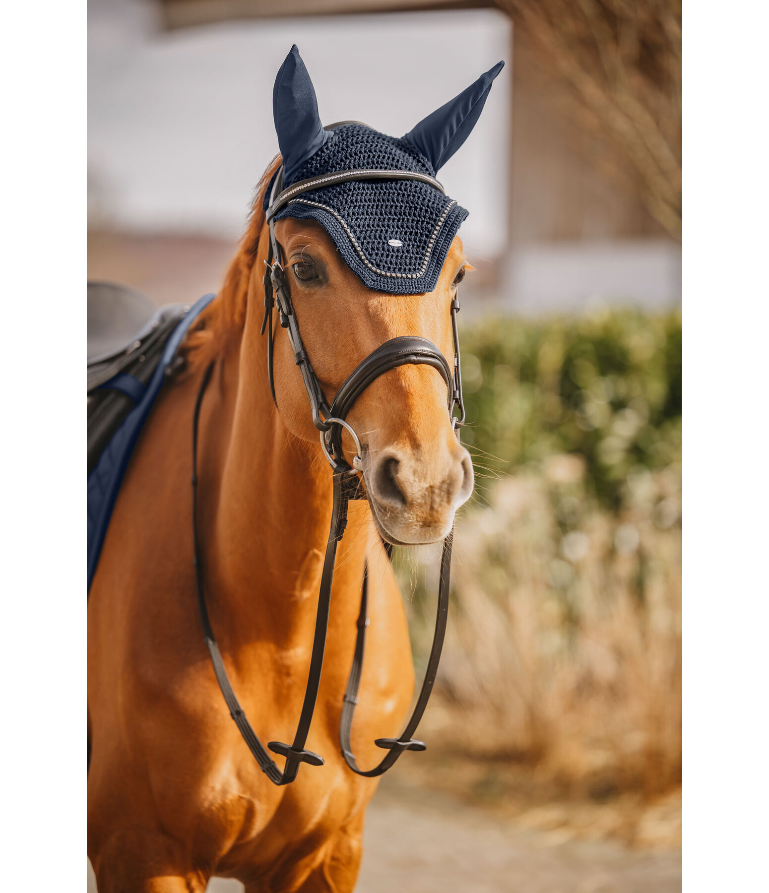 Fliegenhaube Brilliant