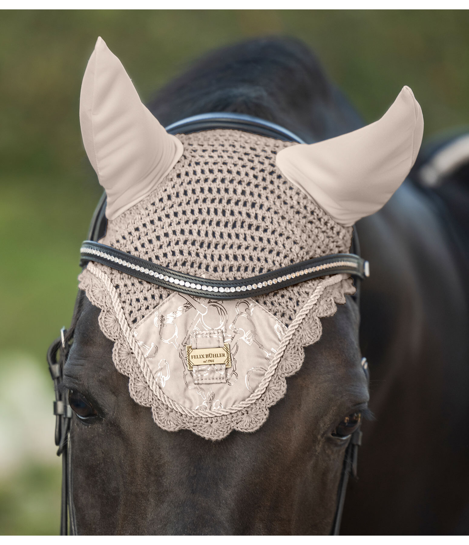 Fliegenhaube Signature