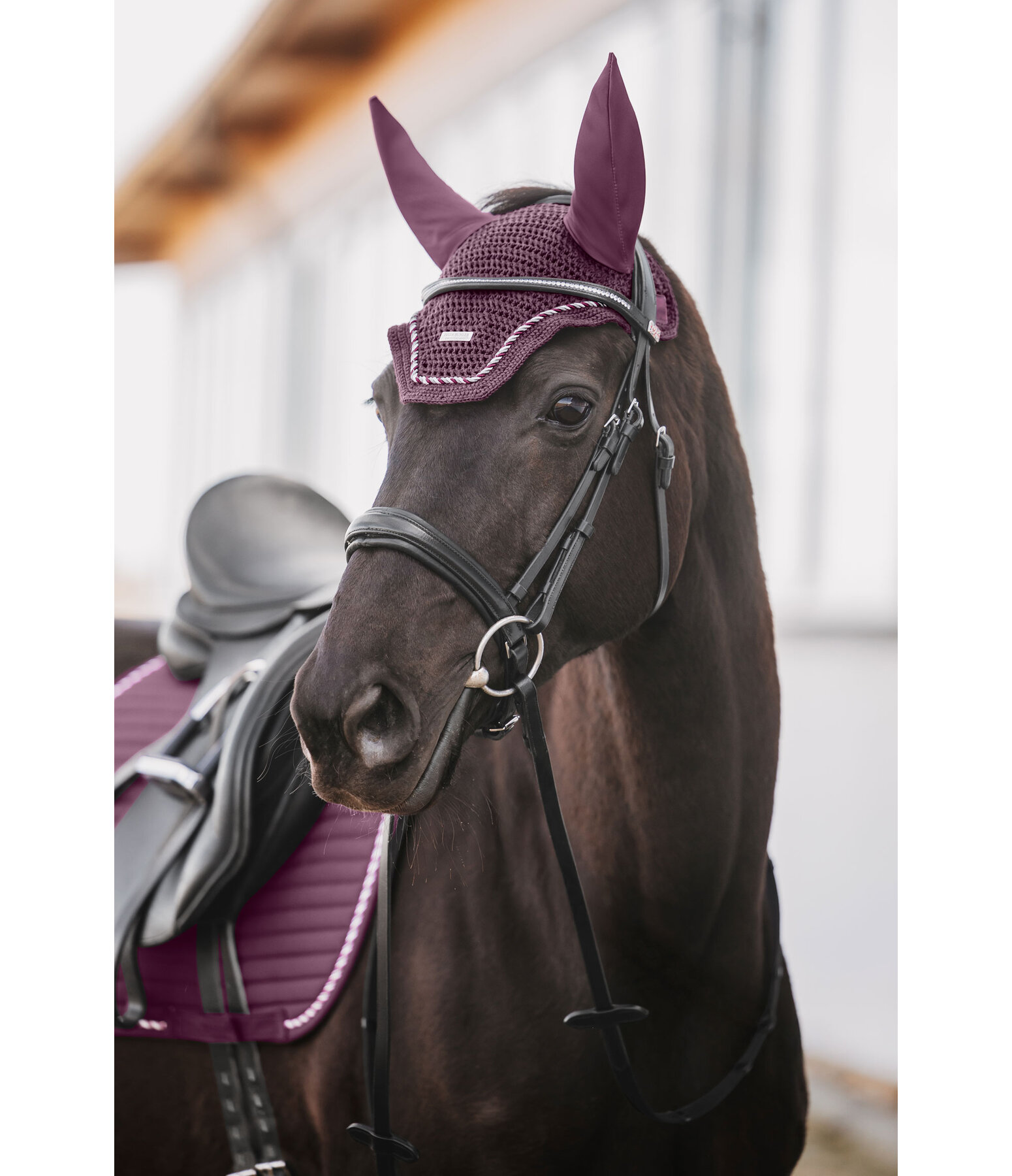 Fliegenhaube Sophistication