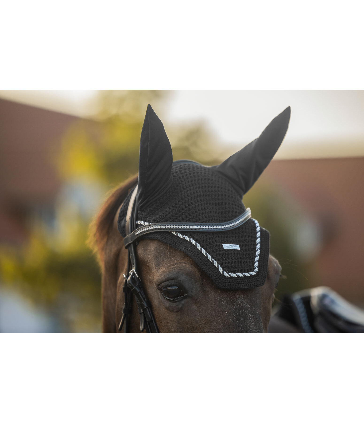 Fliegenhaube Sophistication