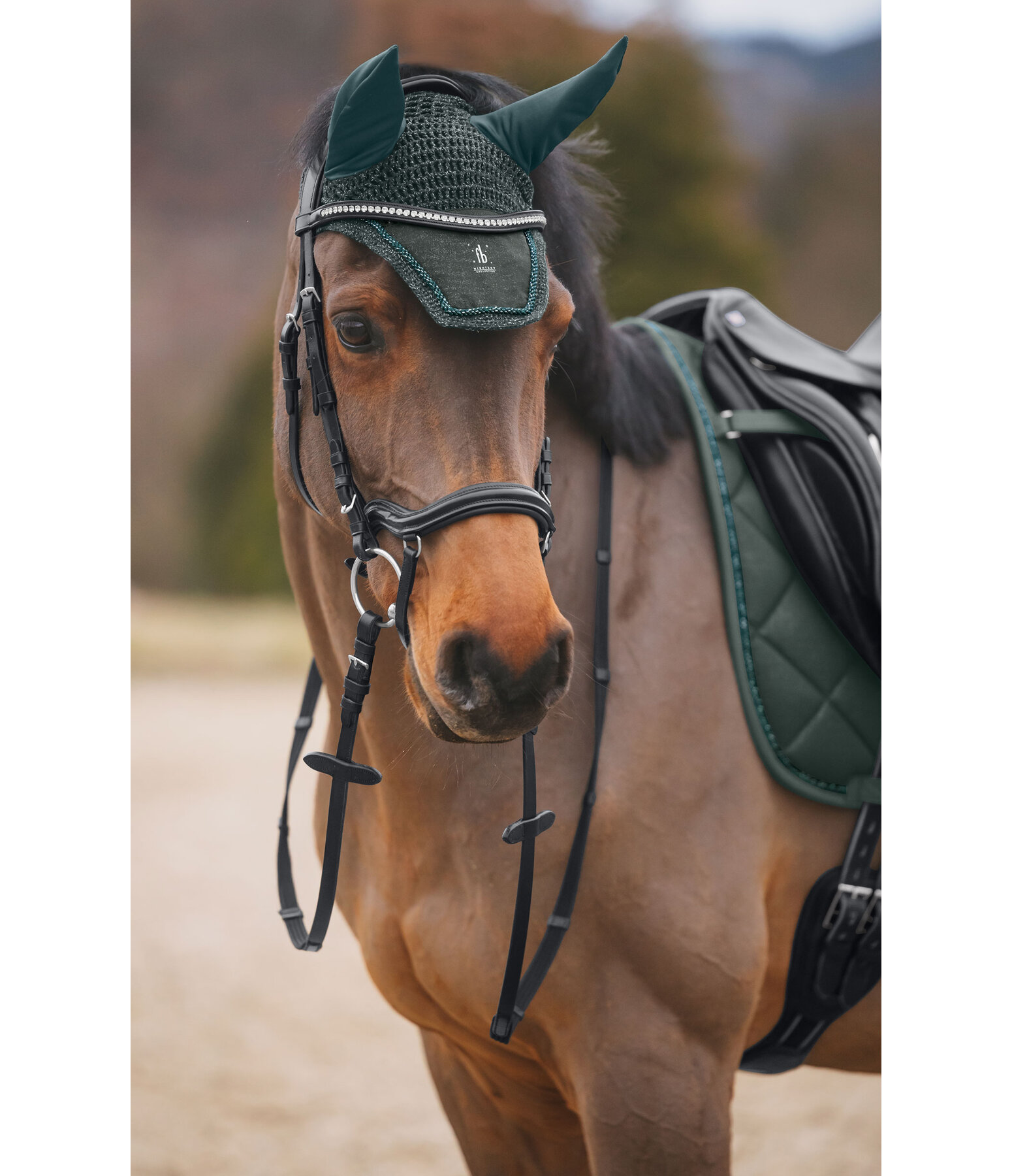 Fliegenhaube Night Sky