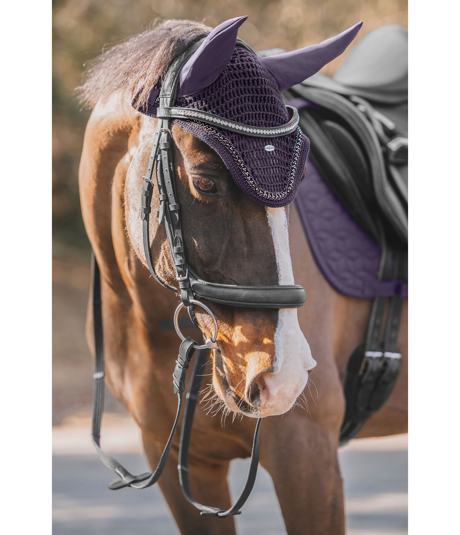 Fliegenhaube Twinkle