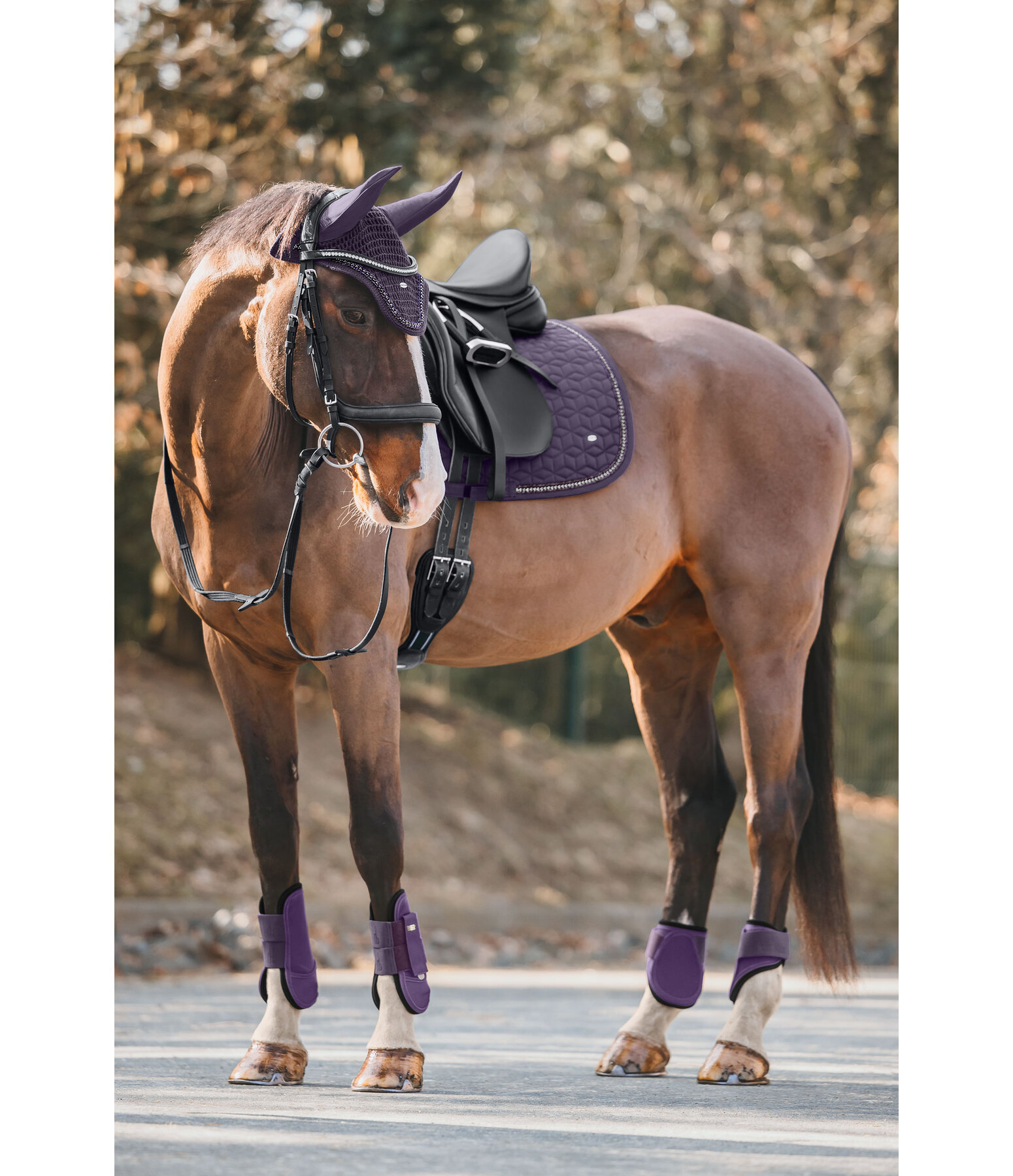 Fliegenhaube Twinkle