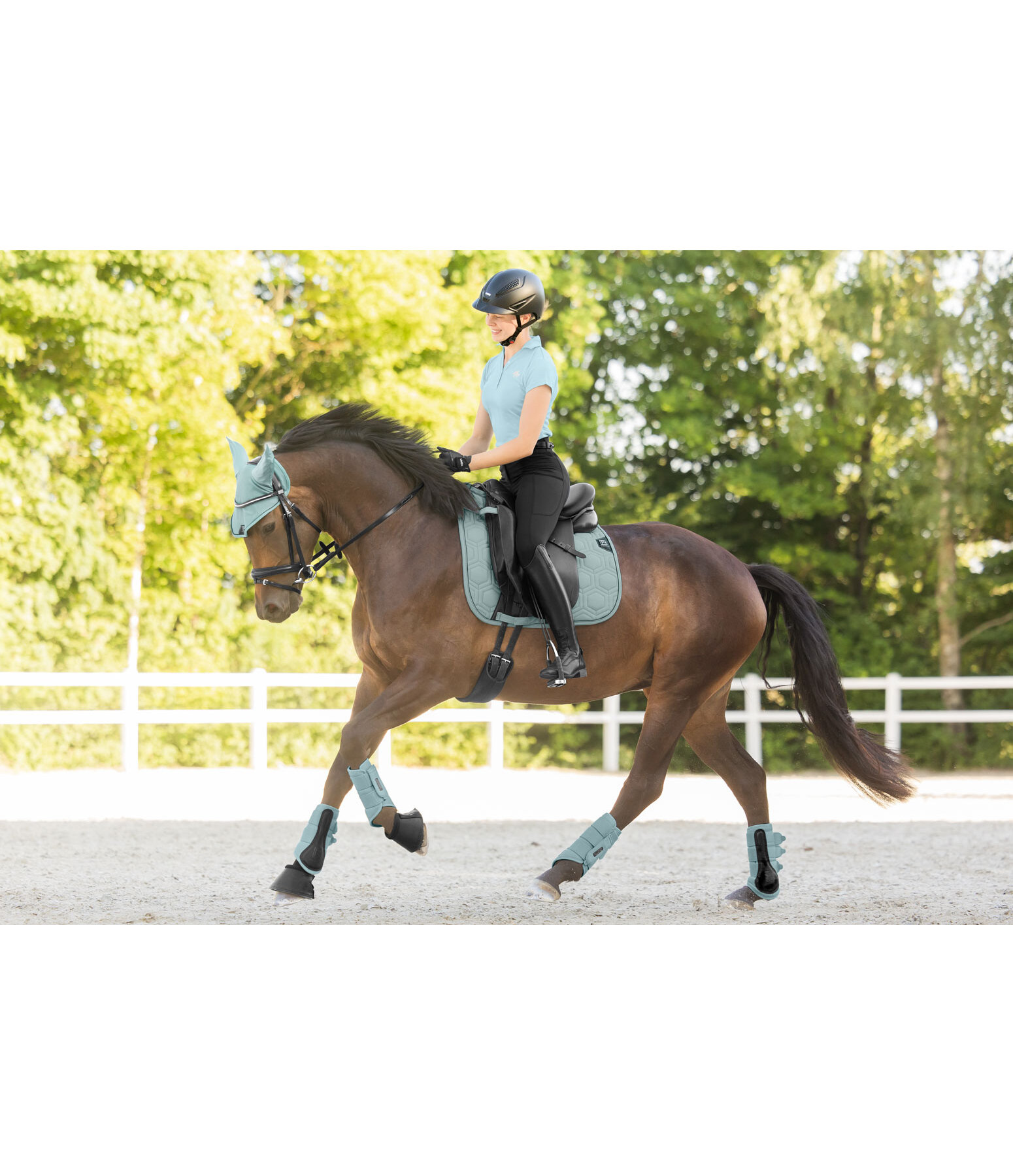 Fliegenhaube Mesh-Technology