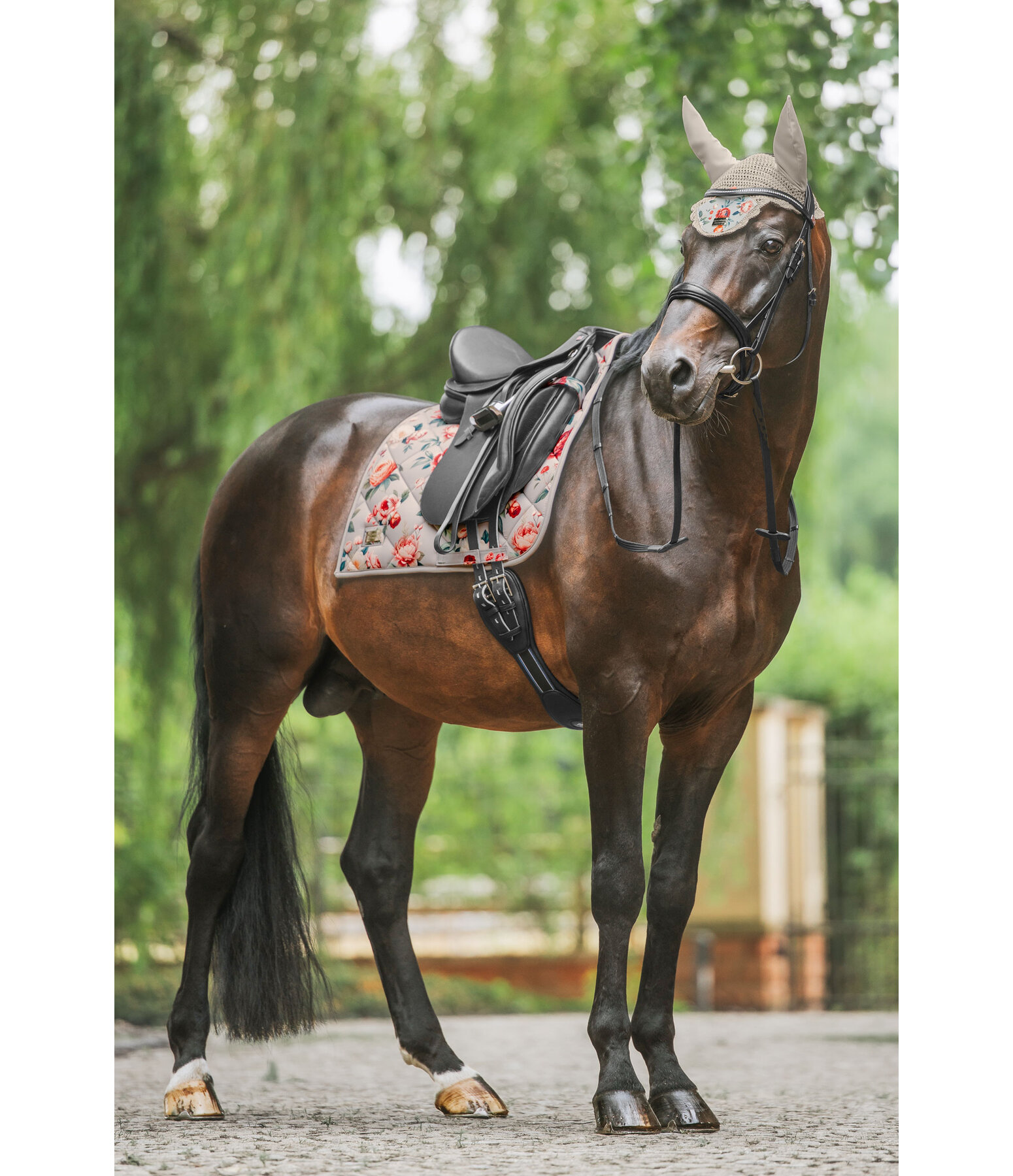 Fliegenhaube Flowers