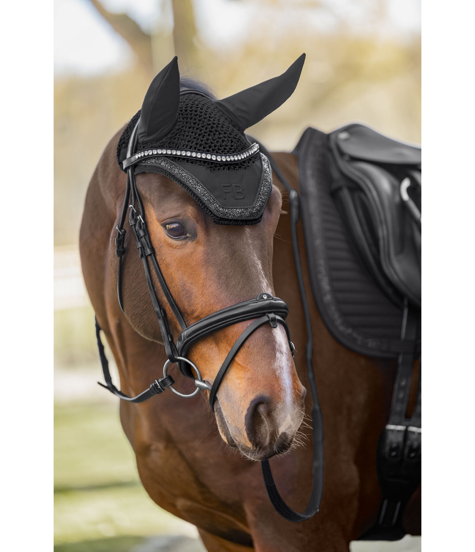 Fliegenhaube Glitter Stone