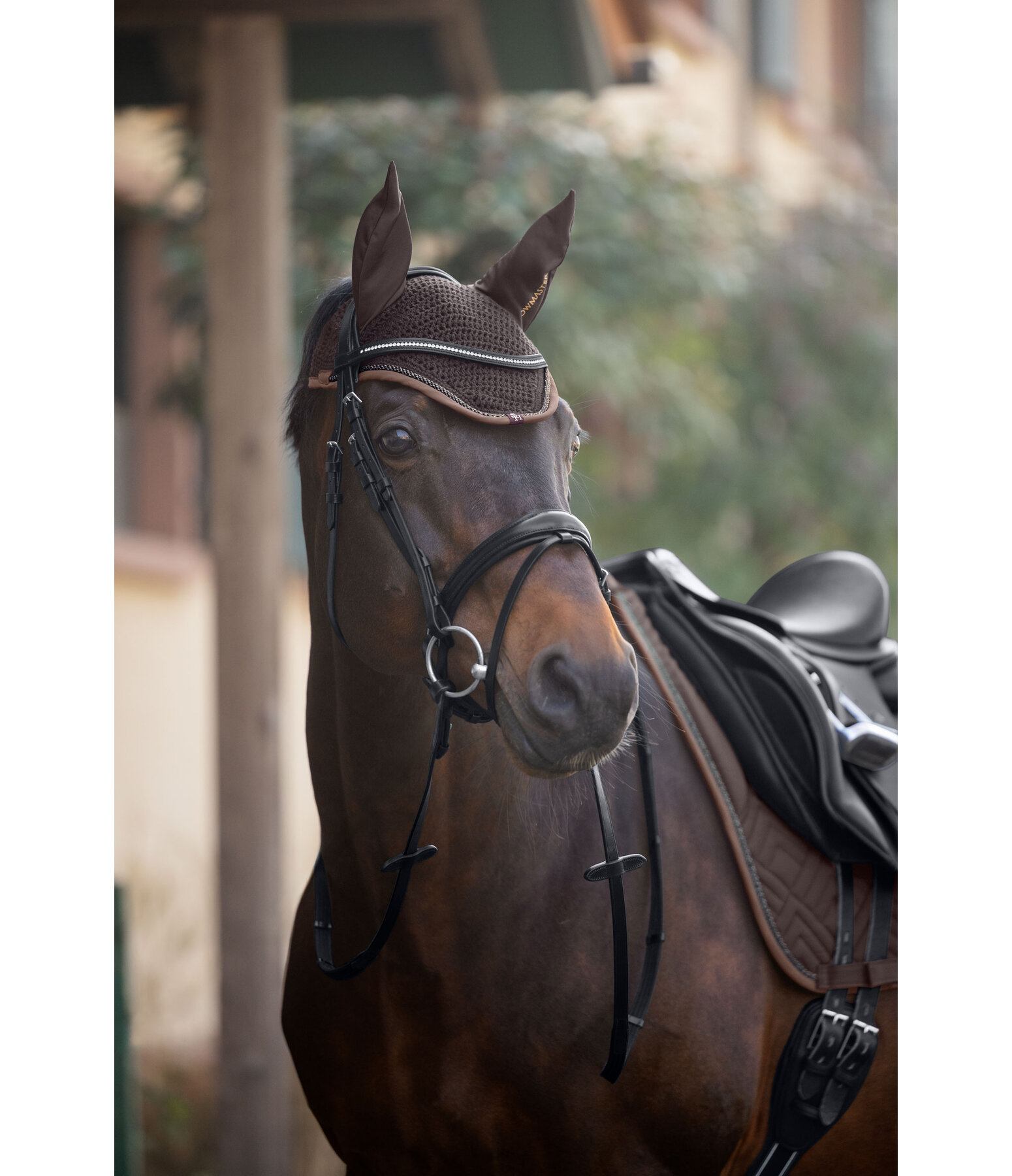Fliegenhaube Glimmering