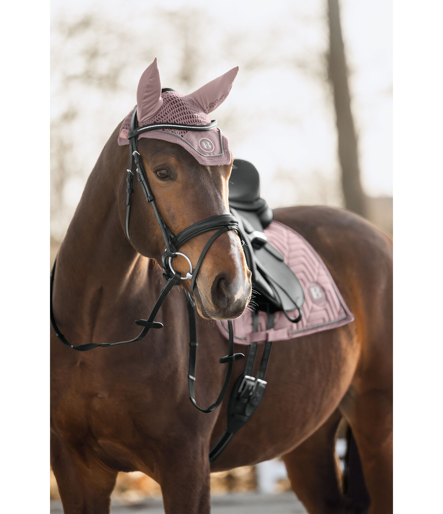 Fliegenhaube Velvet