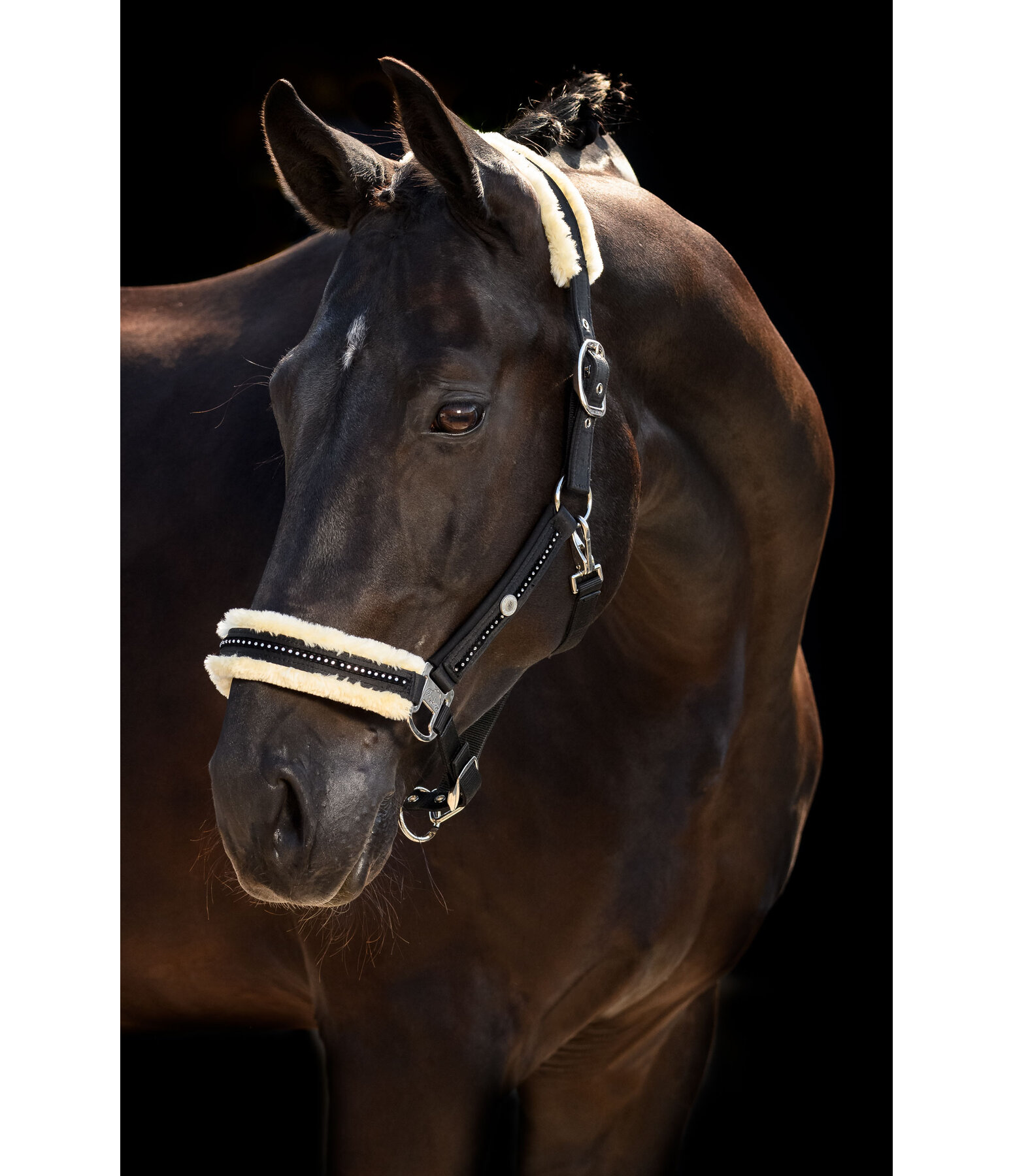 Halfter Luxury Diamonds