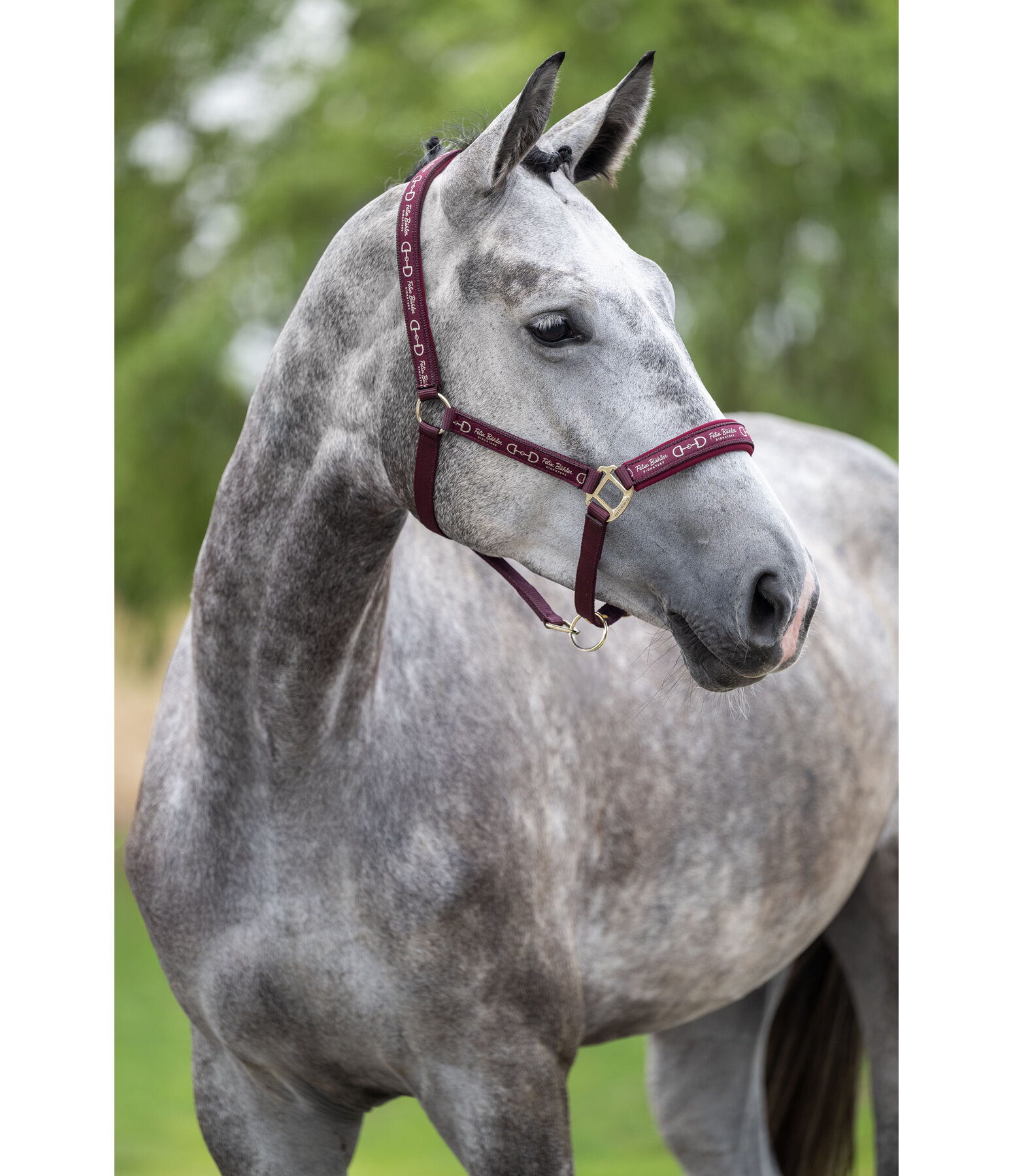 Halfter Signature III