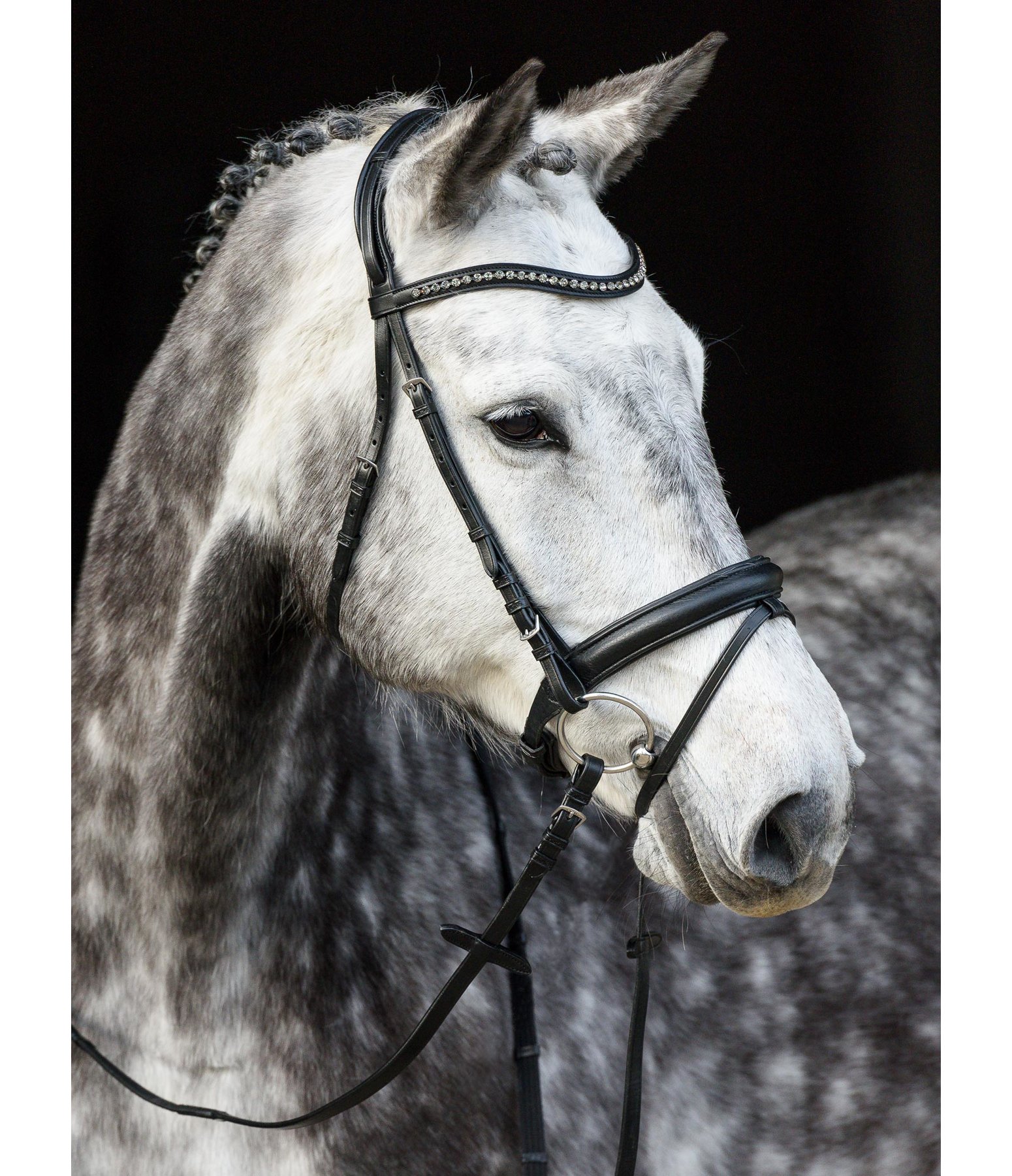 Zaum Ultra Soft Comfort mit Swarovski-Elements®