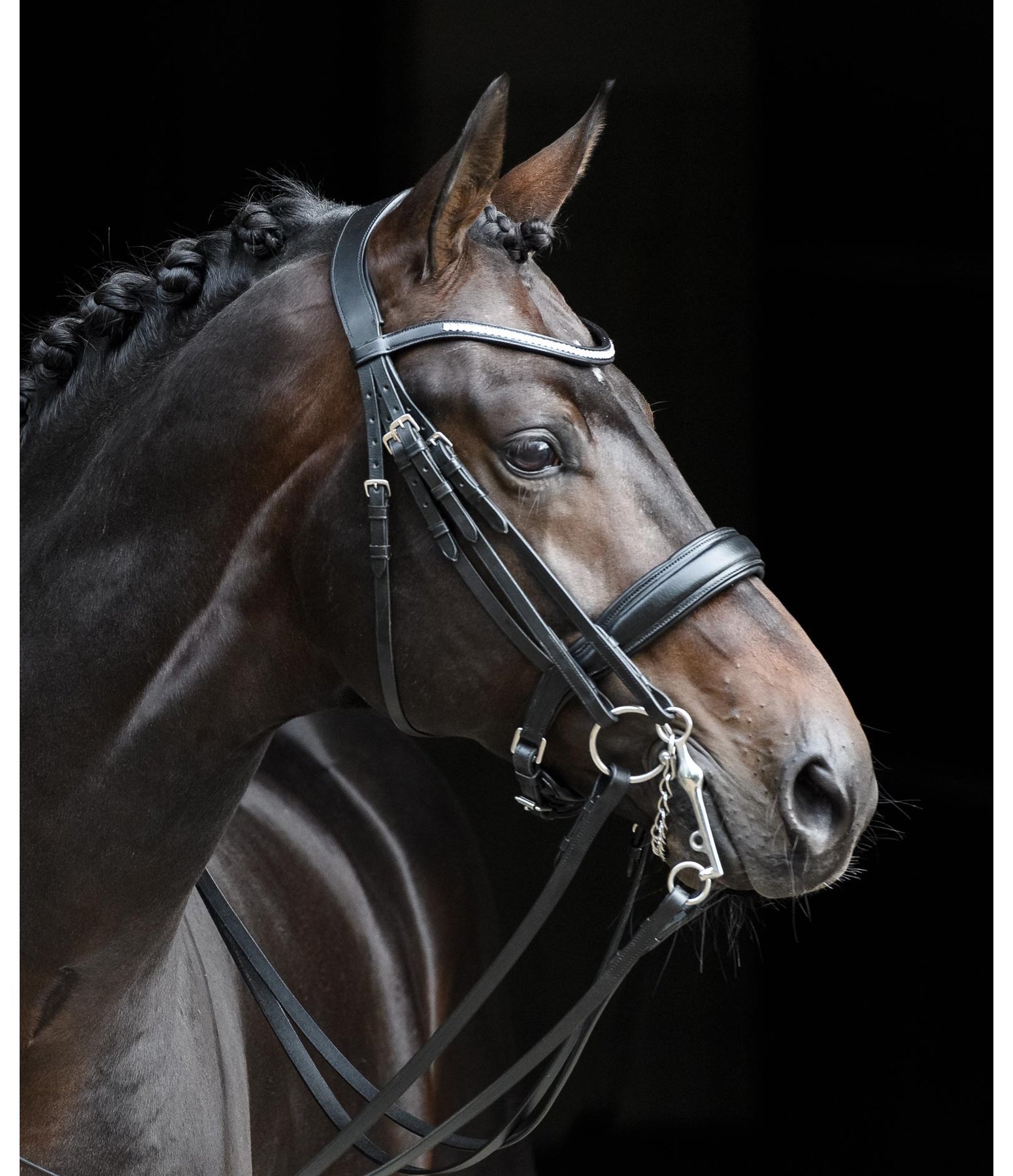 Kandare Ergonomic Dressage