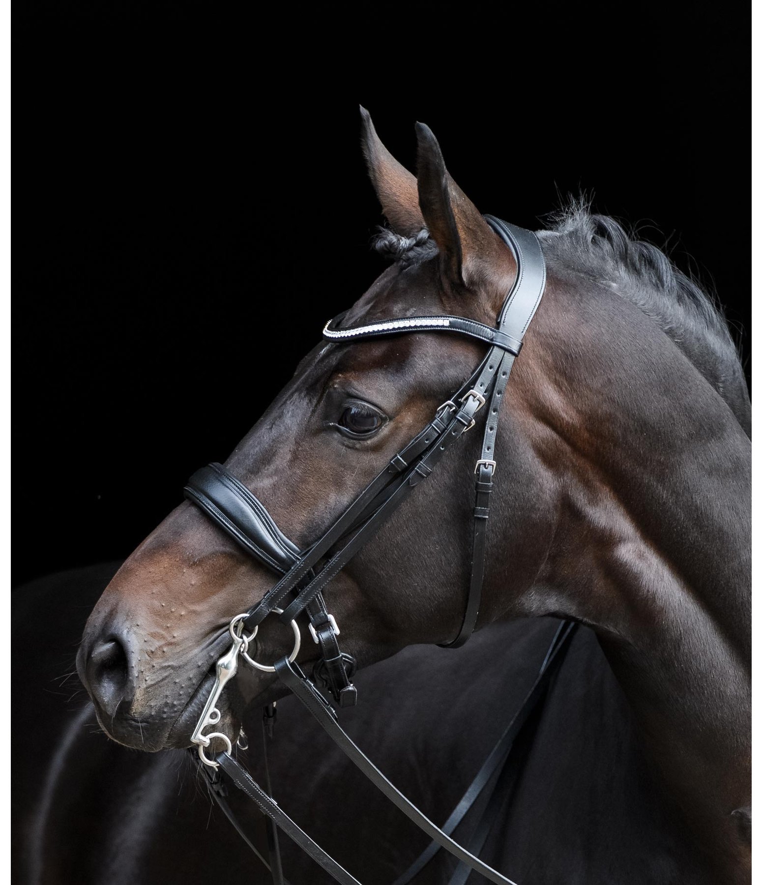 Kandare Ergonomic Dressage