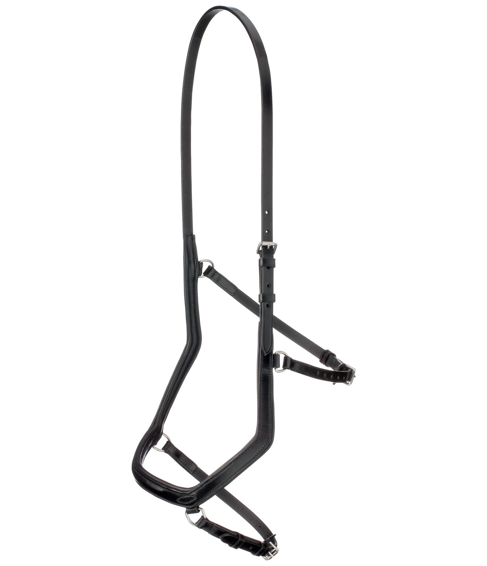Mix & Match Reithalfter Anatomical Revolution