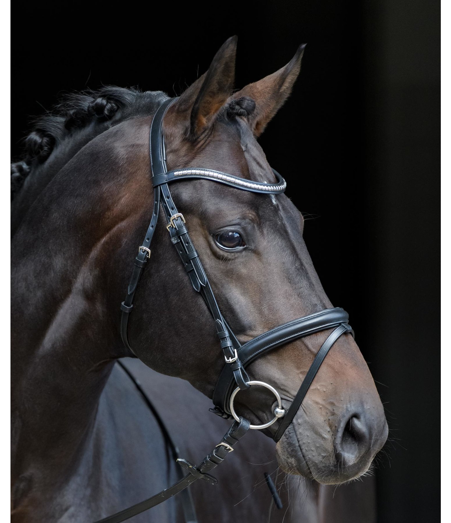 Zaum Clincher Elegance