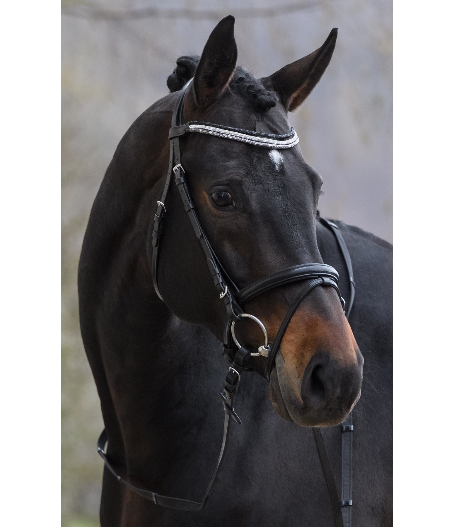 Mix & Match Reithalfter Grace mit Kinnpad
