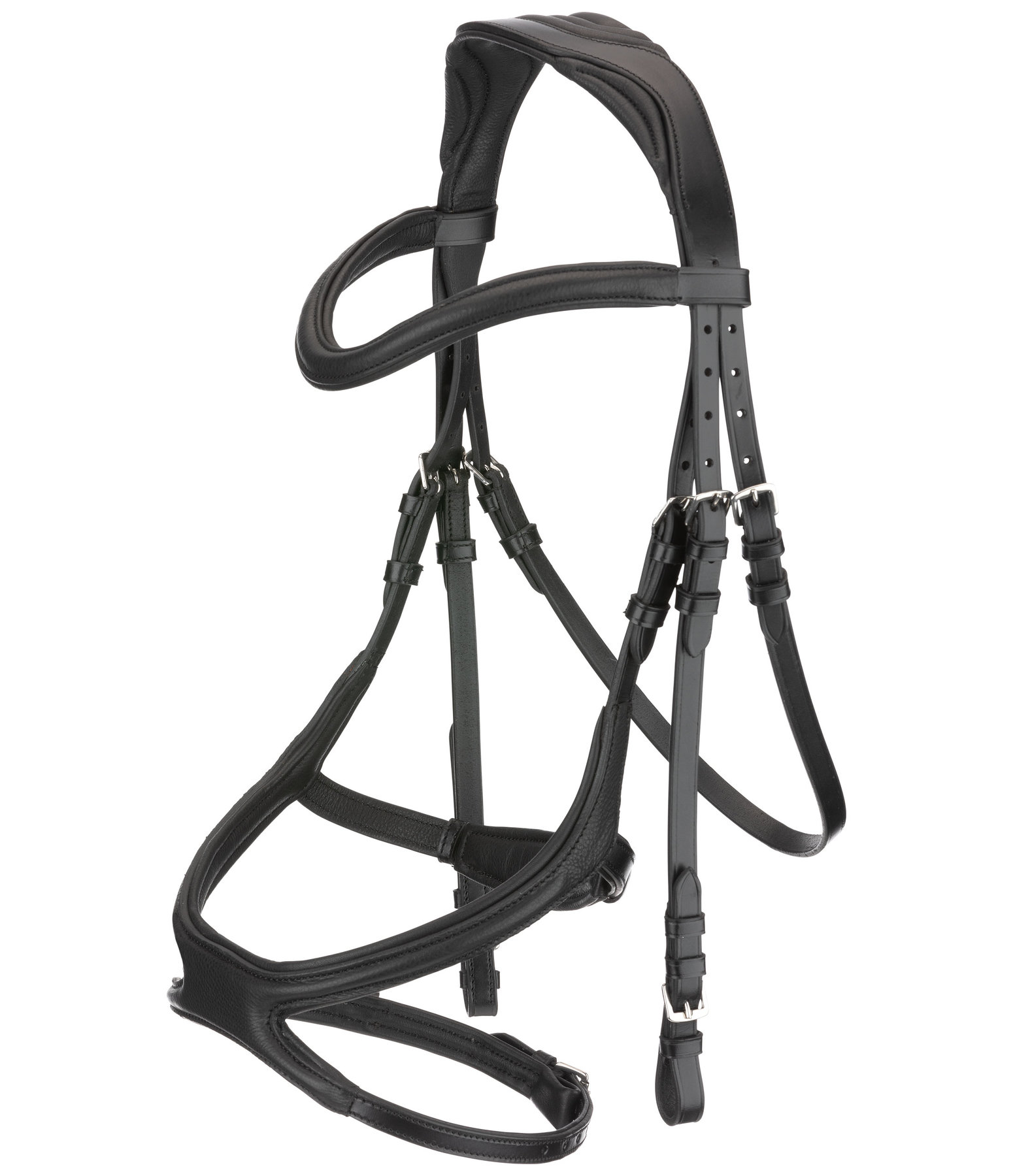 Zaum Anatomical X-Clusive