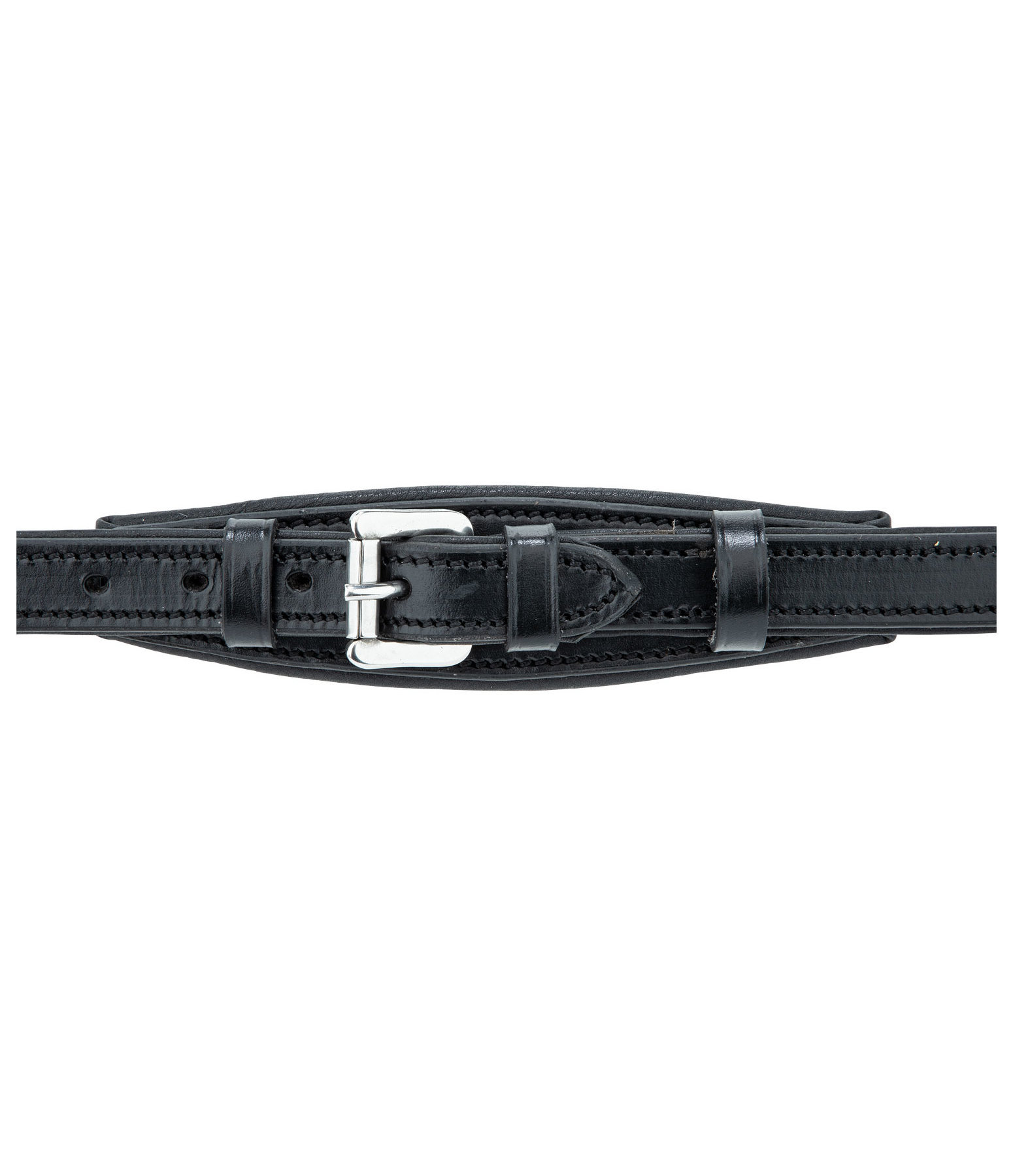 Zaum Anatomical X-Clusive