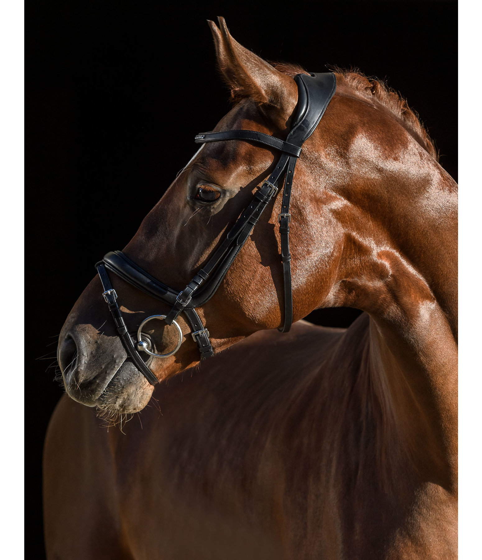 Zaum Anatomical Neck Relax Innovation