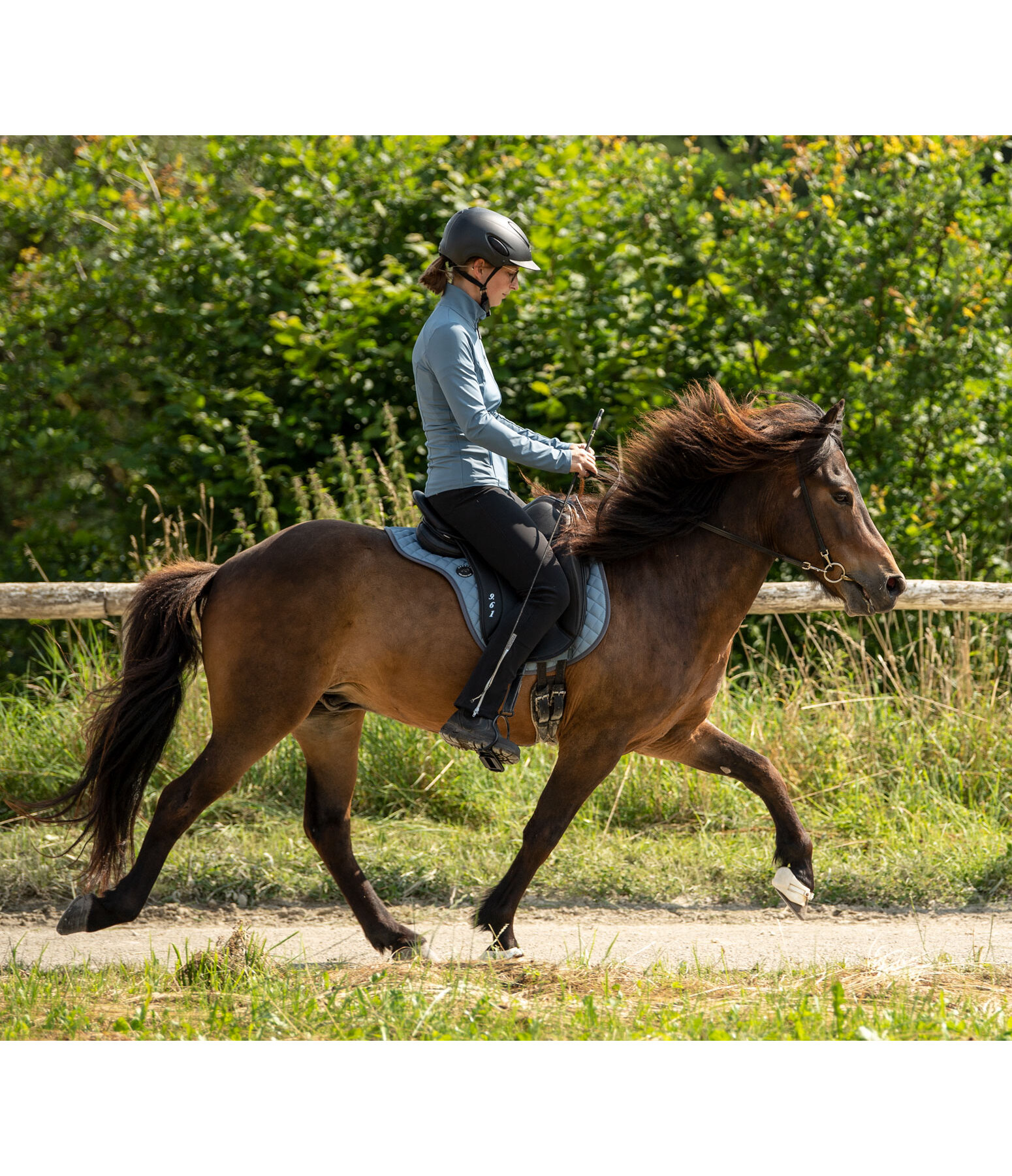 Arbeitstrense Karabiner