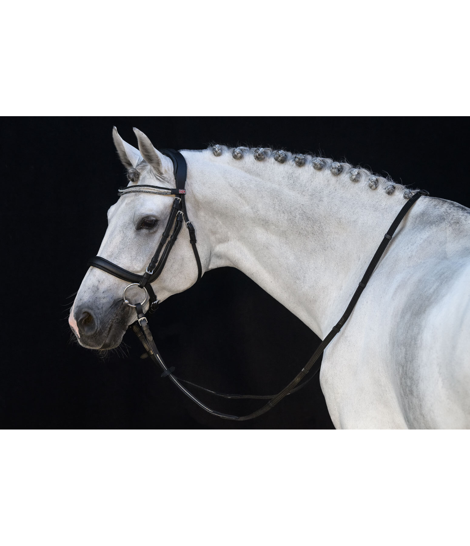Mix & Match PRO geltes, anatomisches Reithalfter ohne Sperrriemen